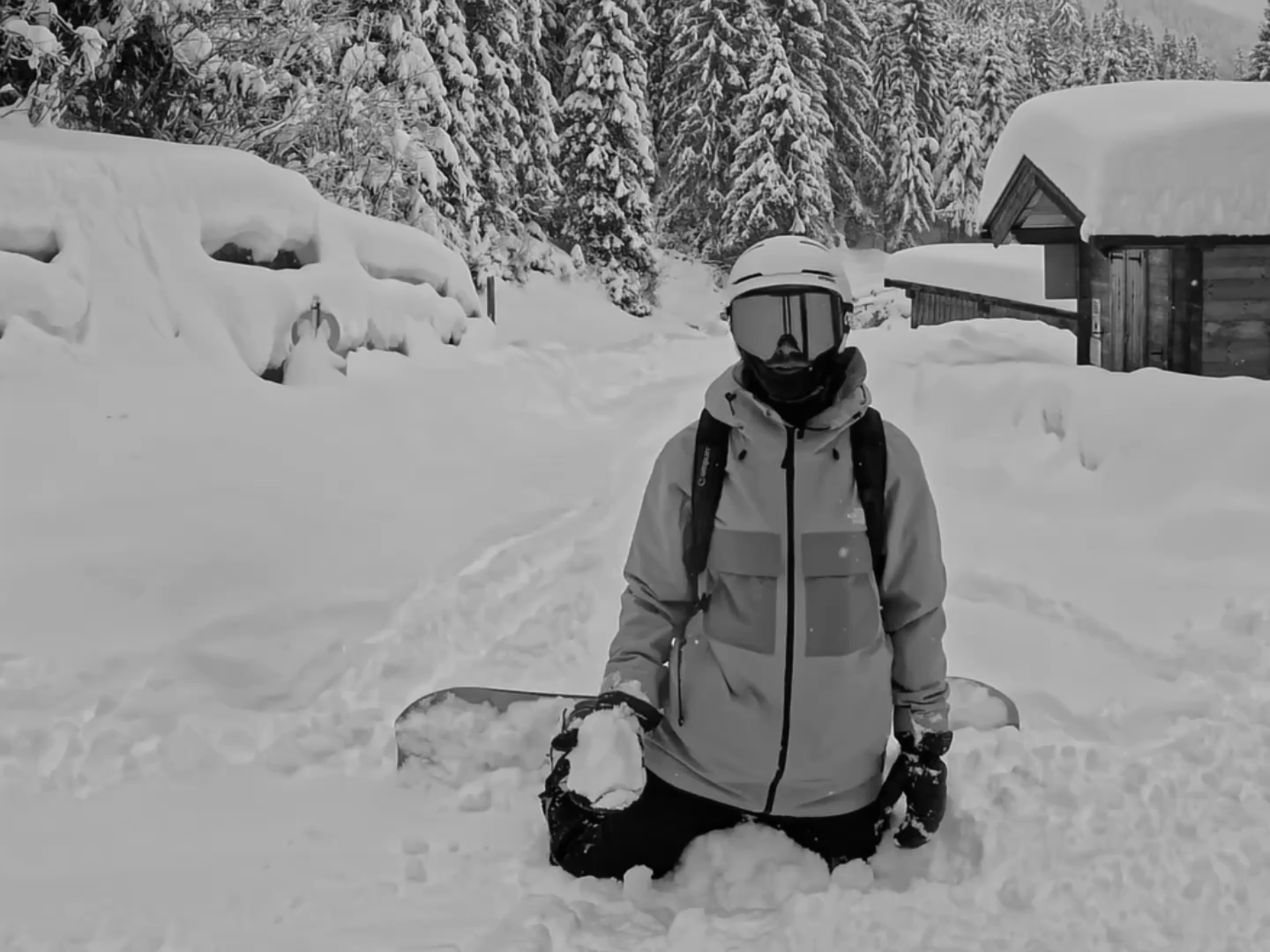 SNOWBALLBW.png