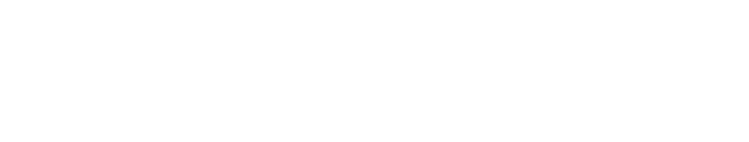 Armada Security