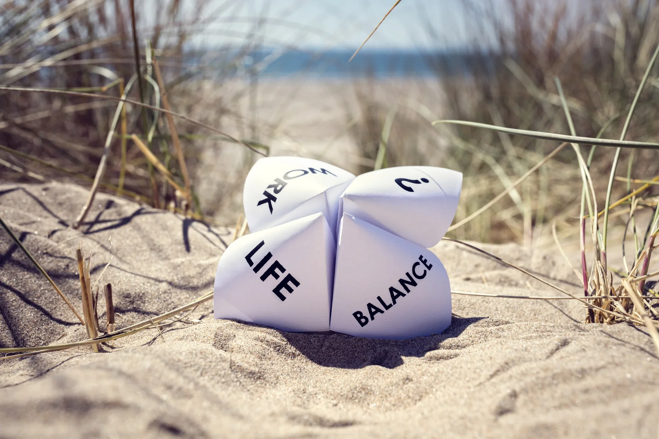 Wellness and Mental Health