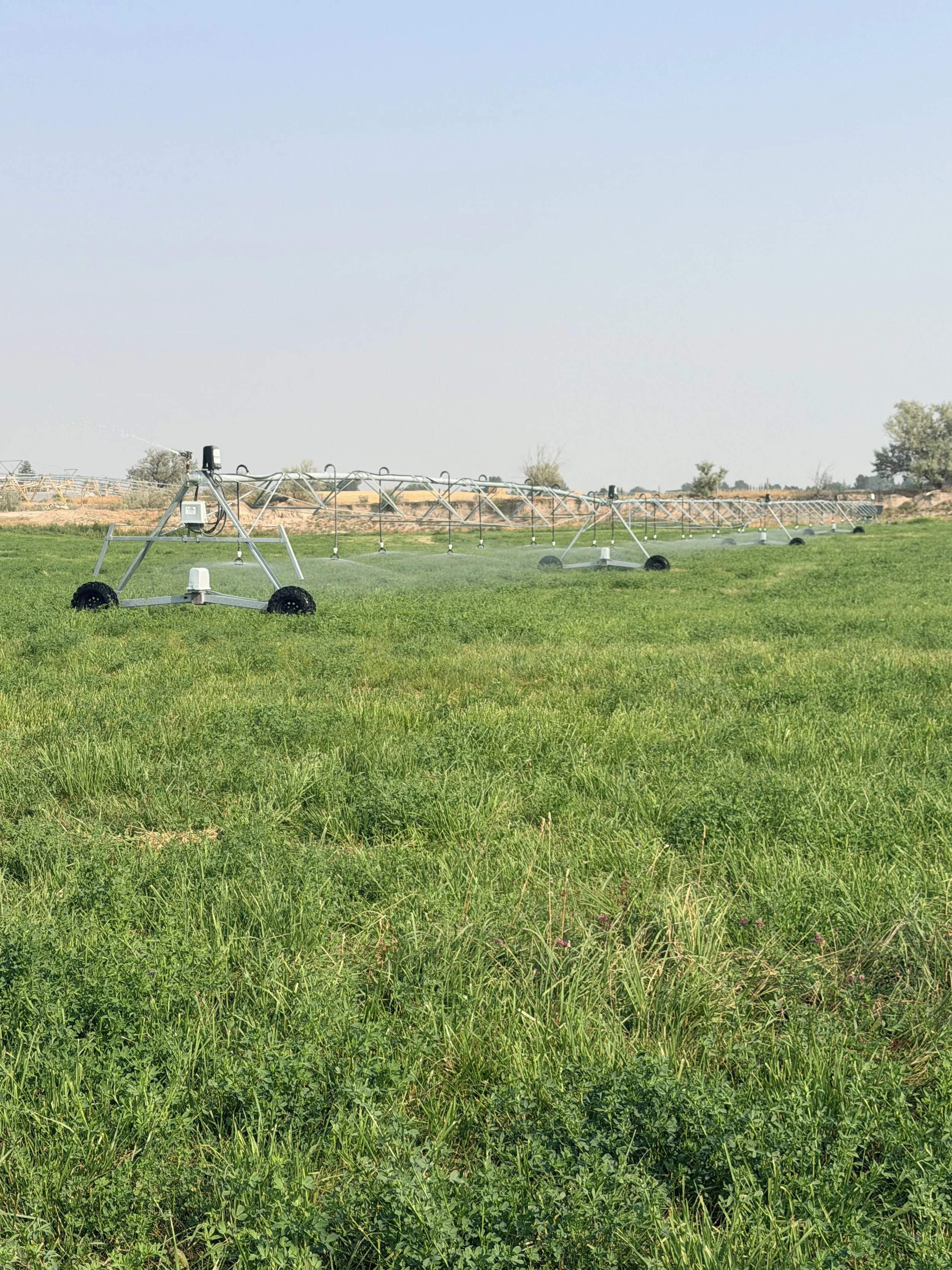 Agricultural irrigation system spraying water across a green field under a clear blue sky.