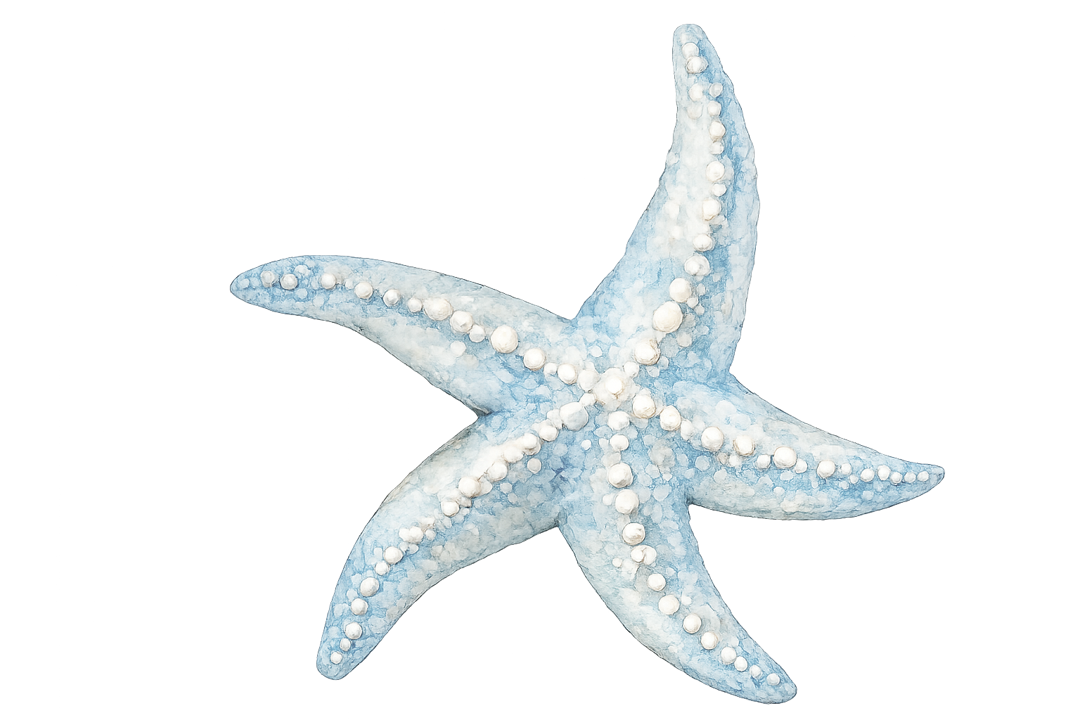 Light blue starfish with white bumps and textured skin.