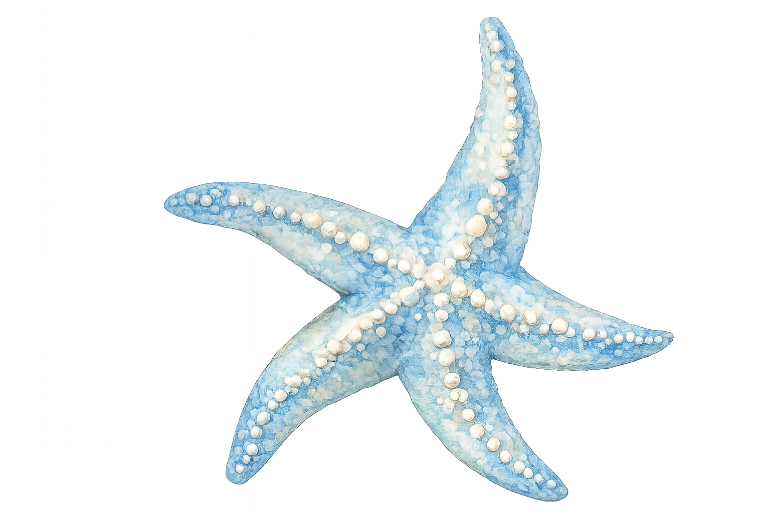 Blue and white starfish with textured skin.