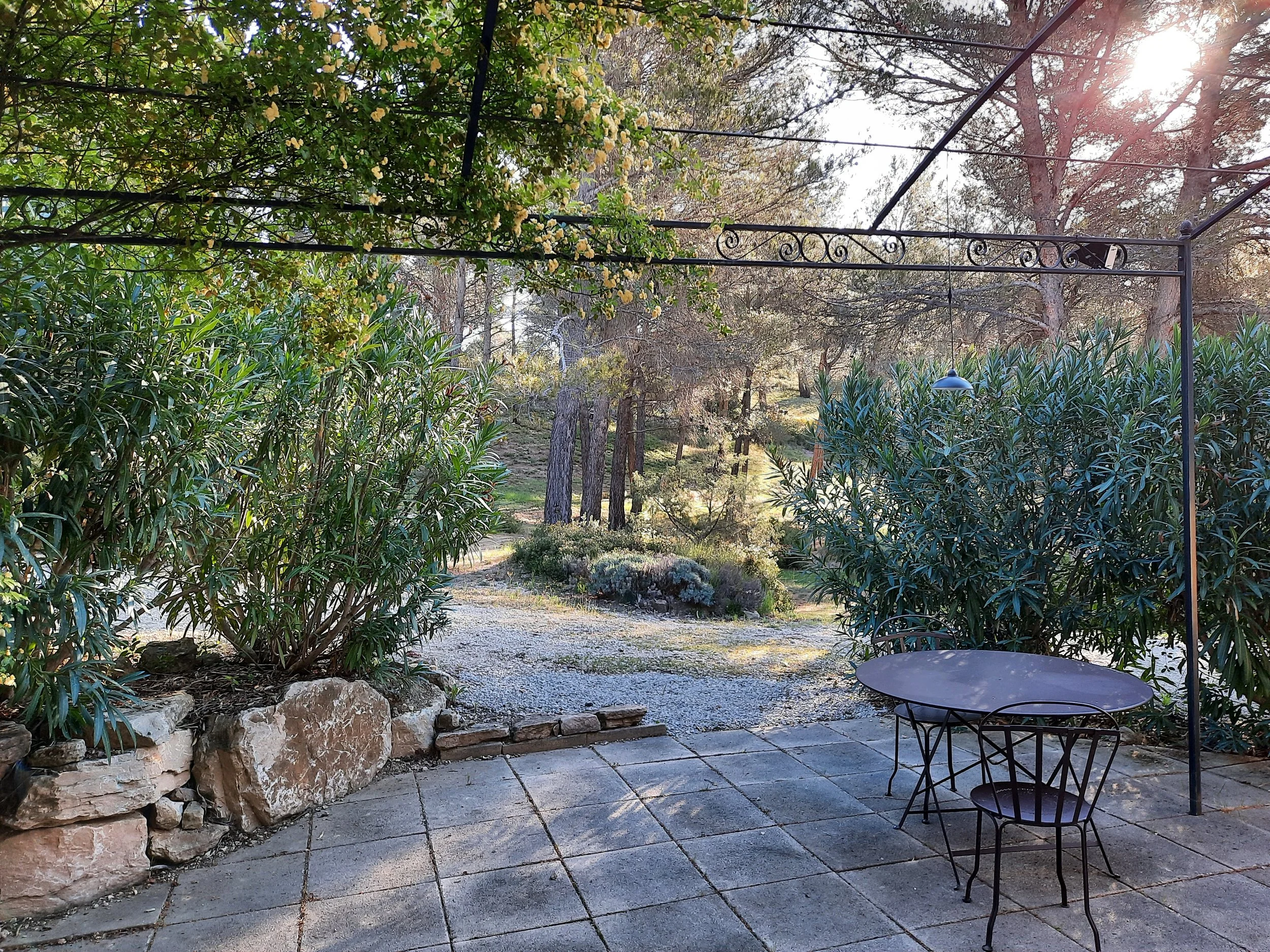Terrasse avec des arbres, buissons et un petit coin repos avec une table et des chaises en métal, sous un pergola en métal.