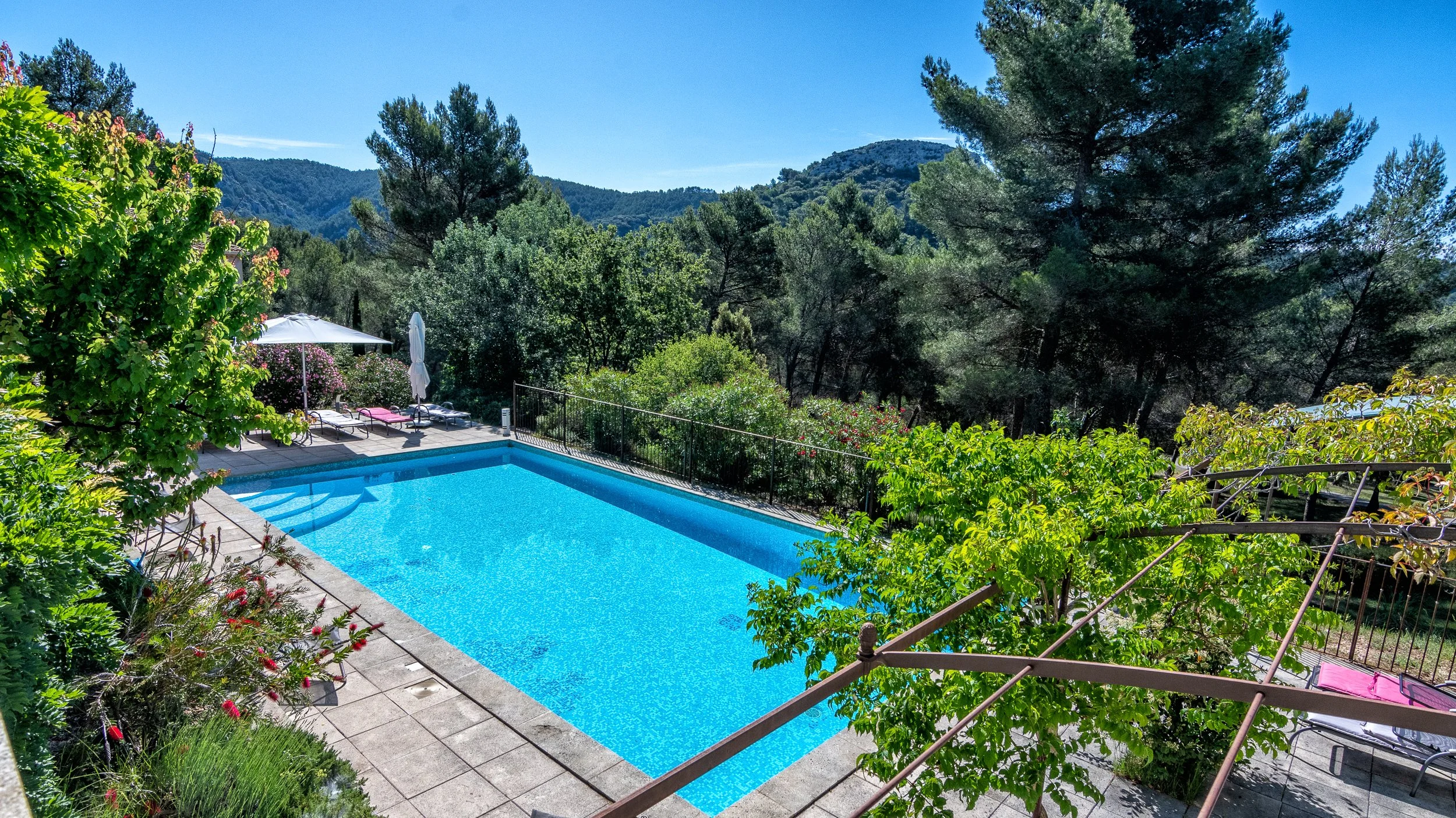 Piscine bleue entourée d'arbustes et de pins, de chaises longues avec parasol, dans un environnement naturel avec des montagnes en arrière-plan.