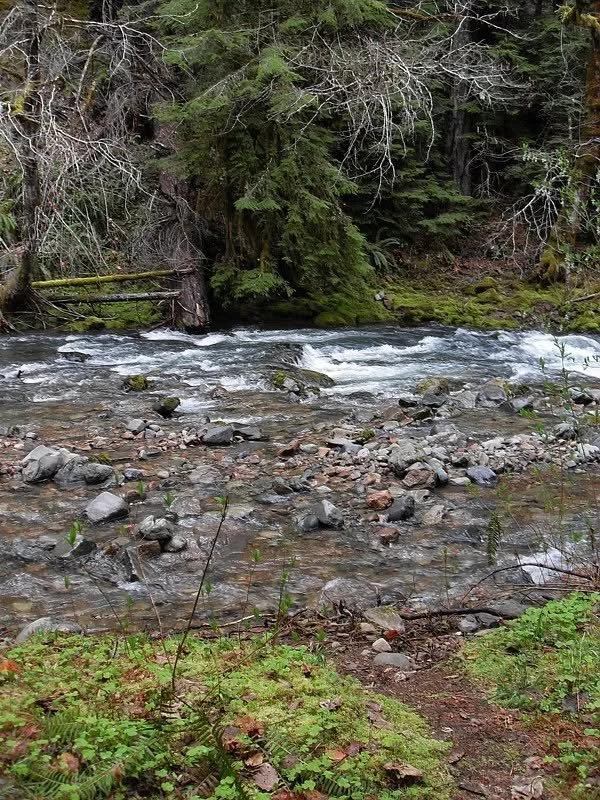 River.jpg