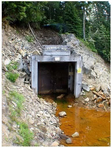 champion mine.jpg