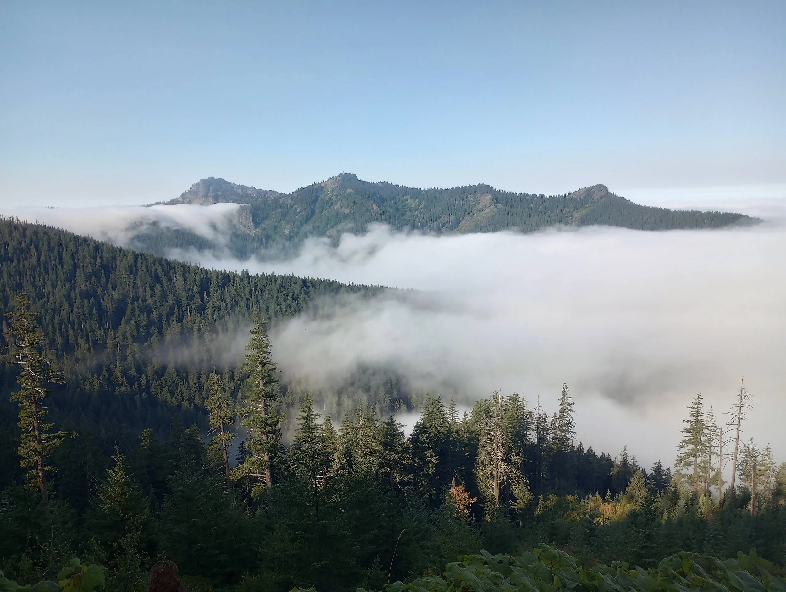 IMG_20220903_085938891_HDR.jpg