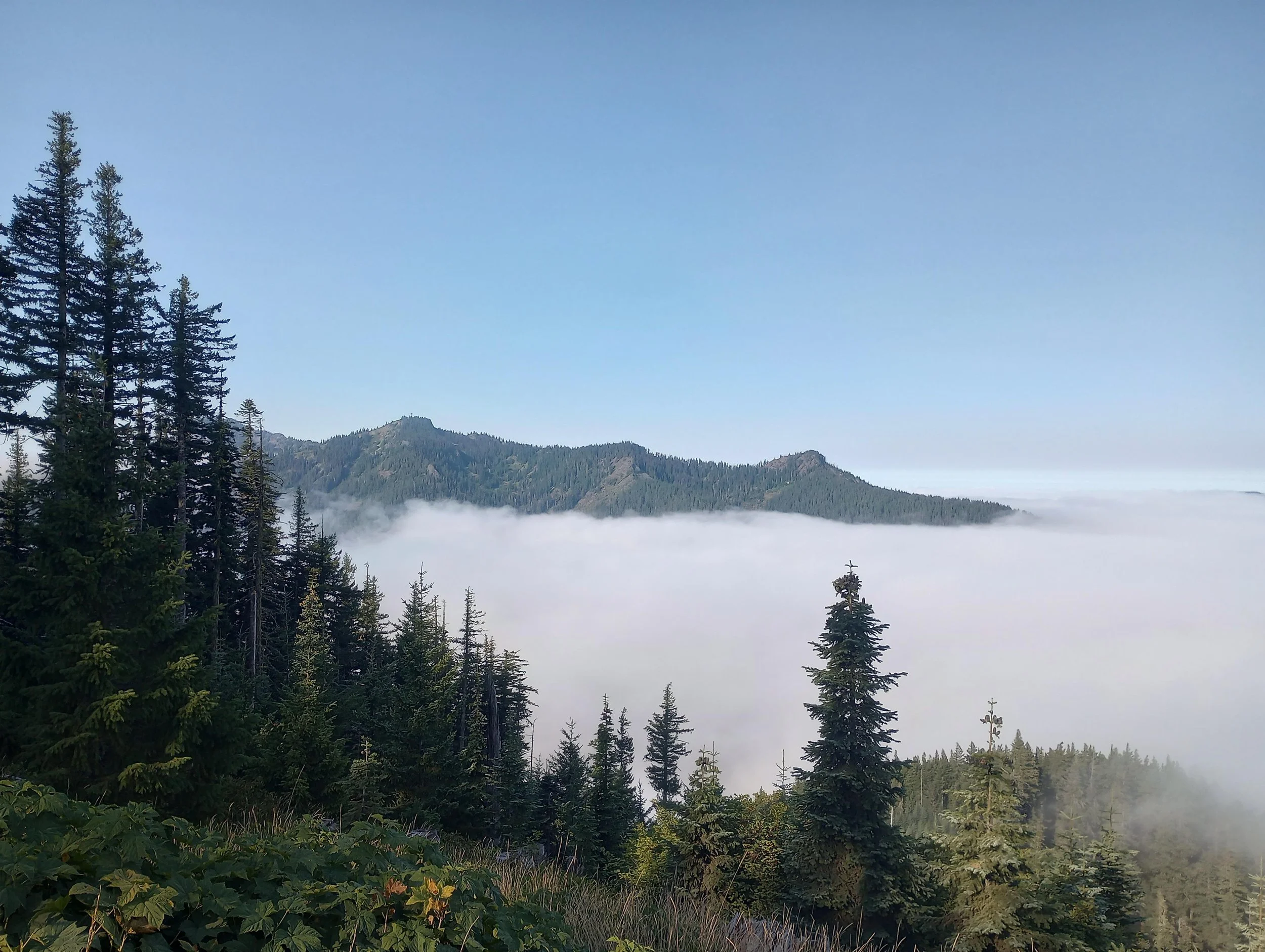 IMG_20220903_085719732_HDR.jpg