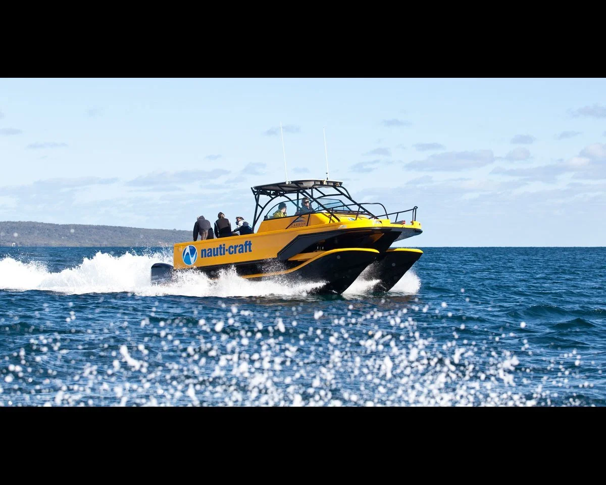 8m R&amp;D Catamaran with Suspension System