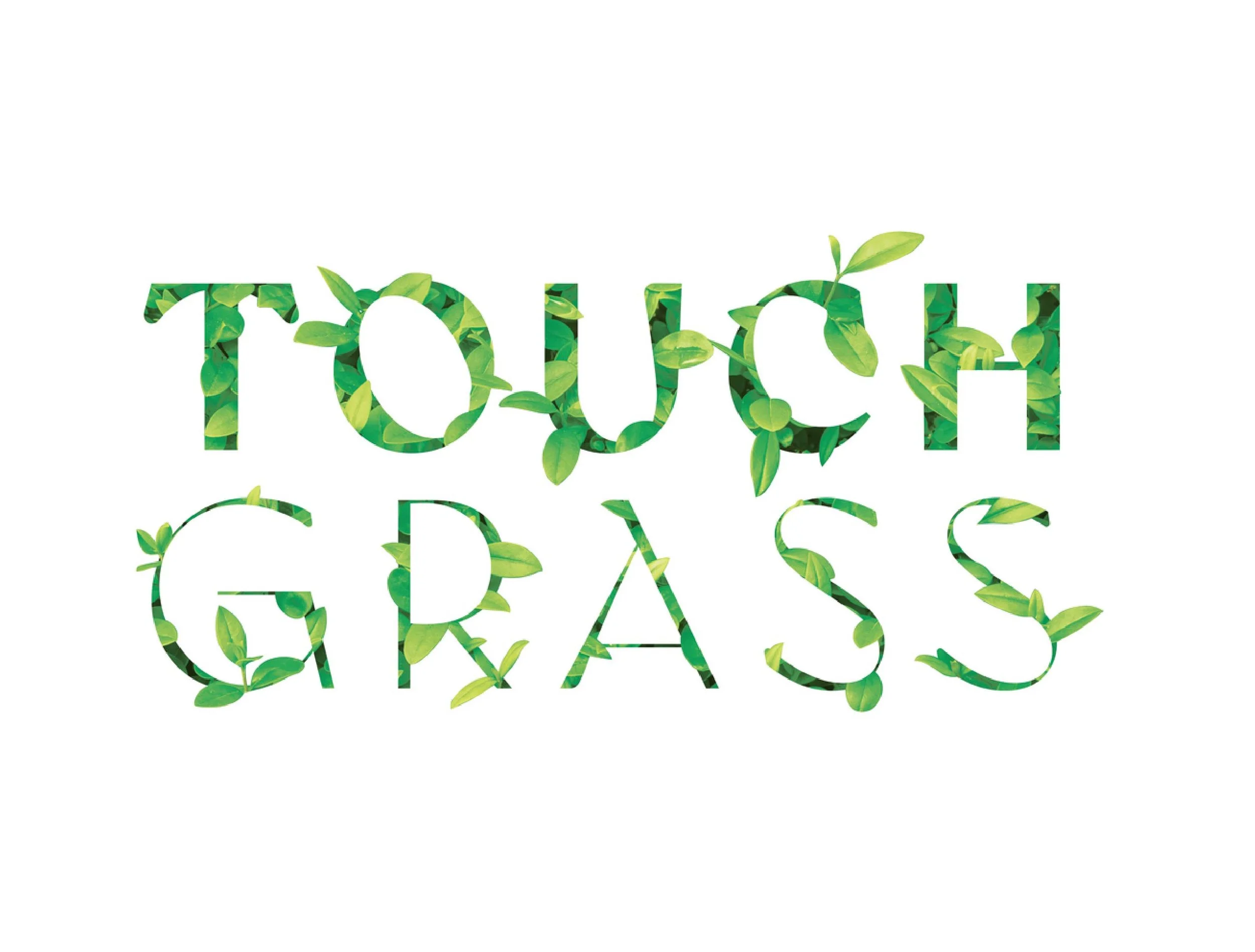 Touch Grass | Interactive Exhibition
