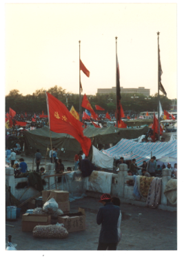 5945842_1.png
