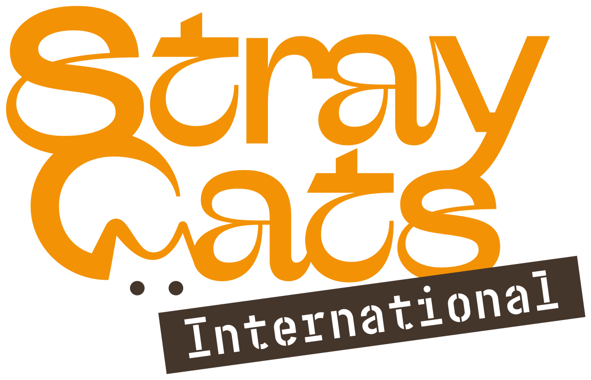 straycatsinternational