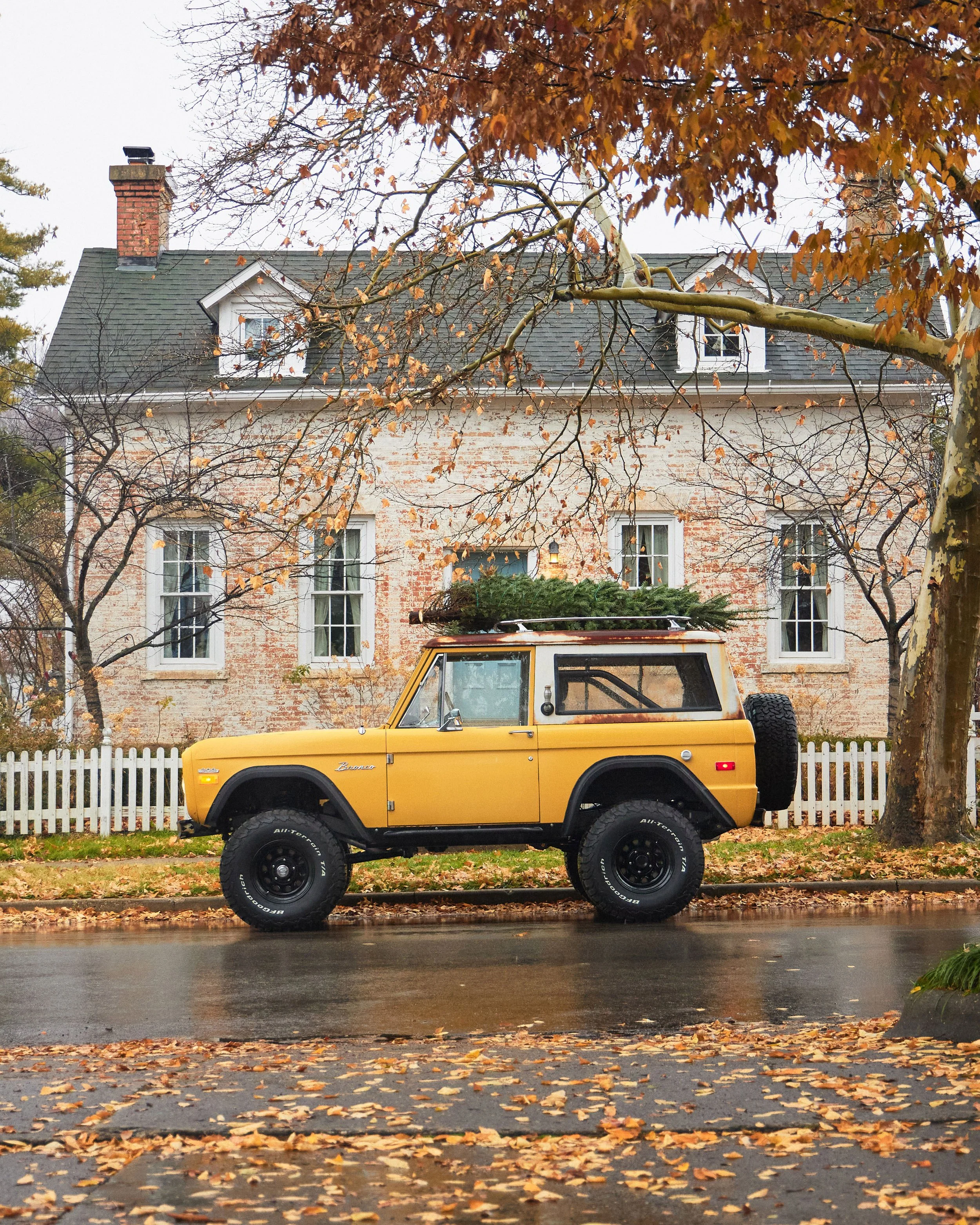 Yellow_Patina_Christmas_Tree_081.jpg