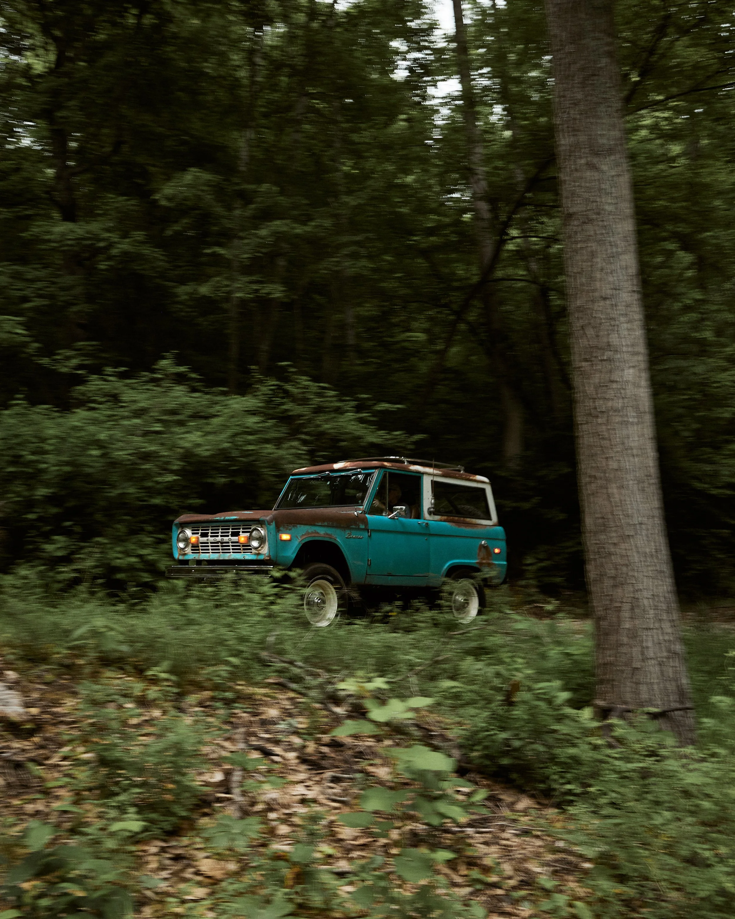 Blue_Patina_Coyote_314.jpg