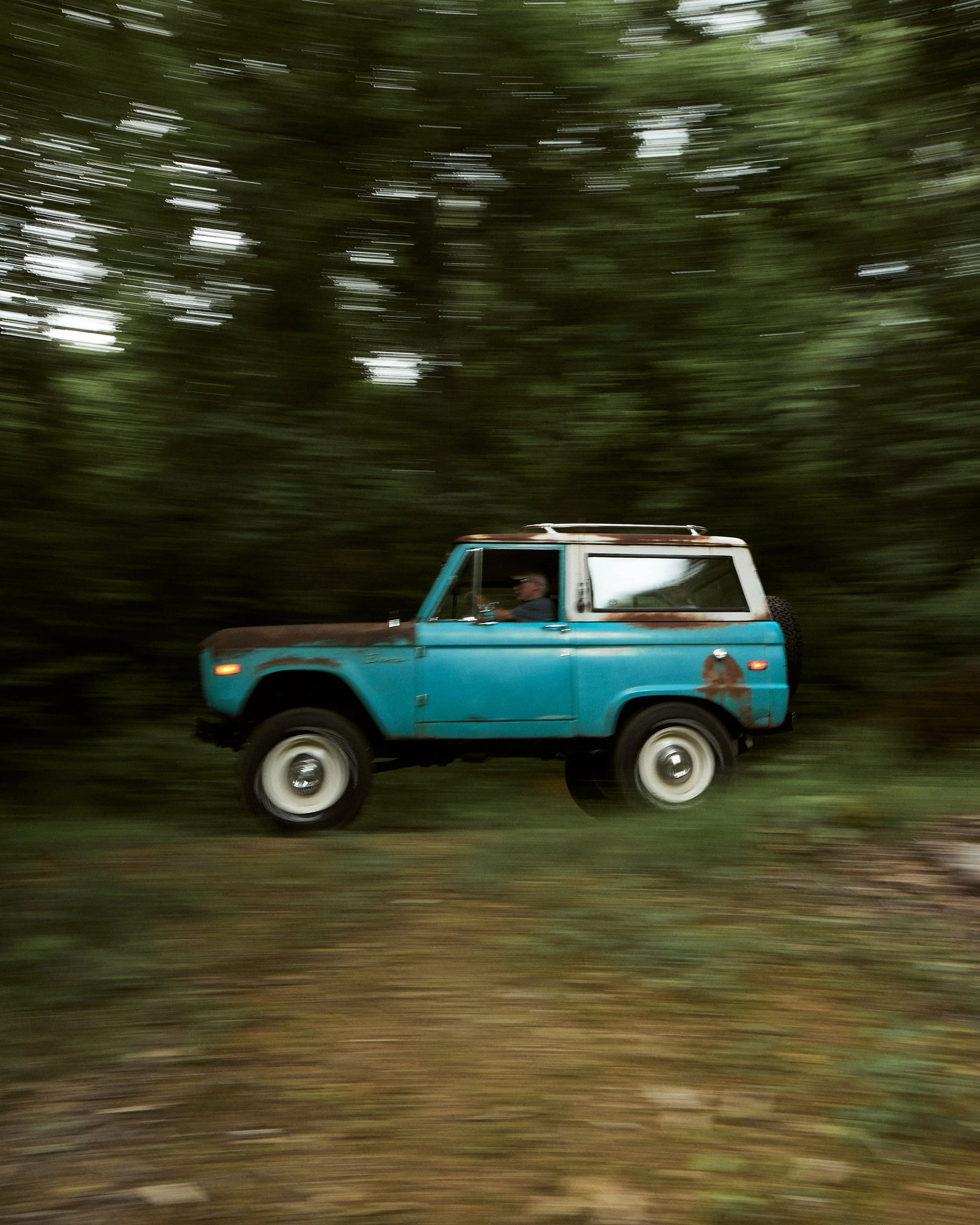 Blue_Patina_Coyote_306.jpg