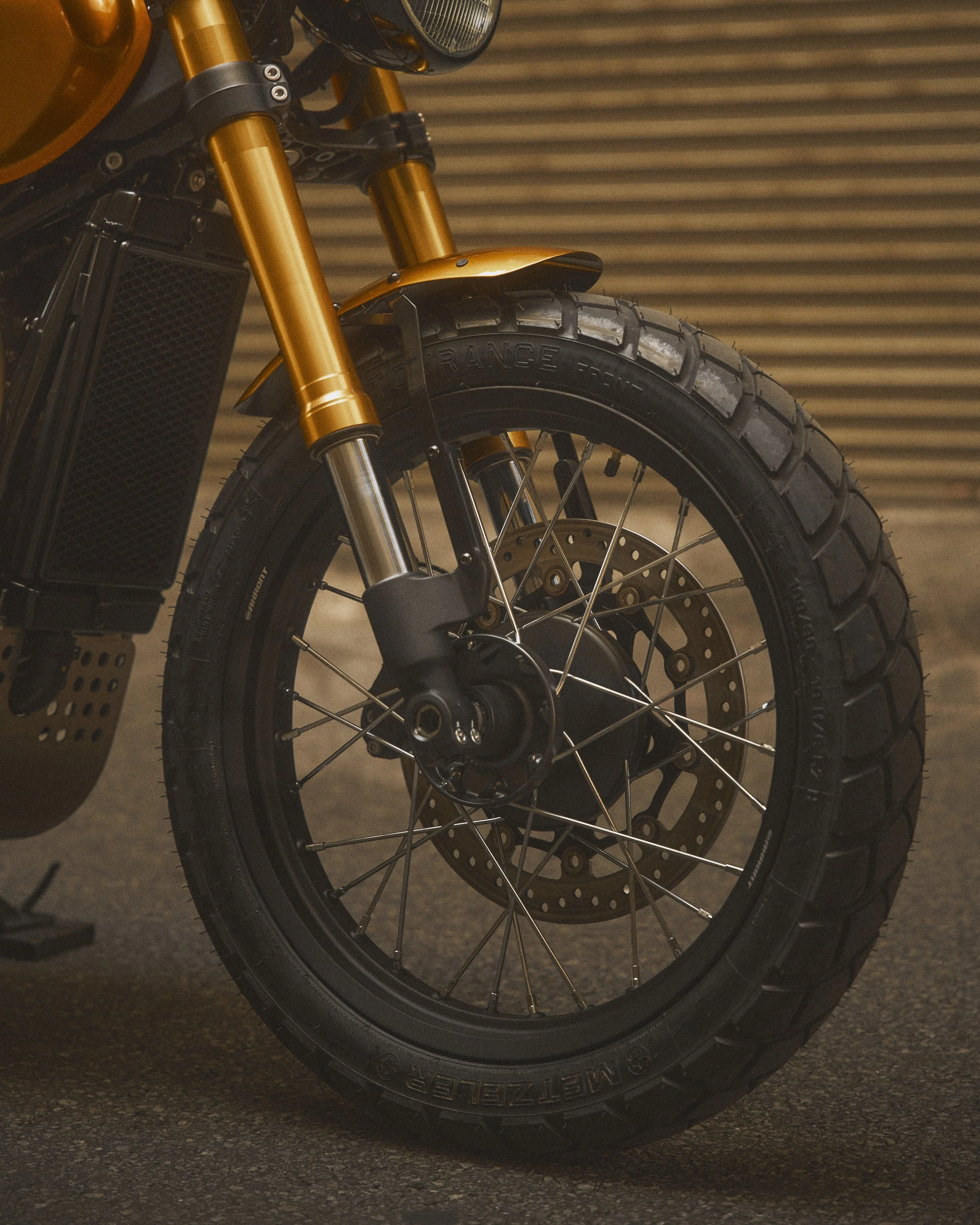 SROD_04_Orange_948.jpg