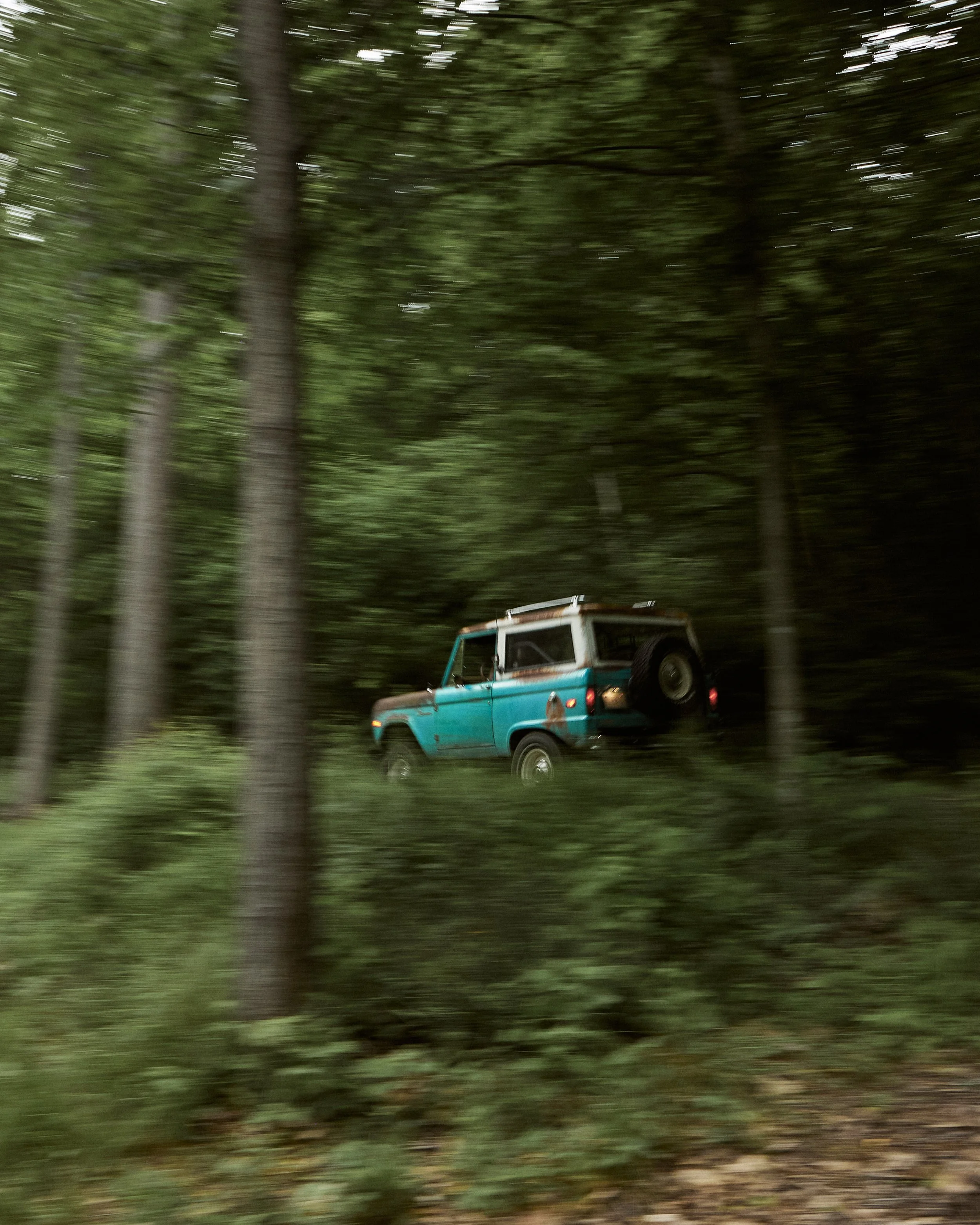 Blue_Patina_Coyote_309.jpg