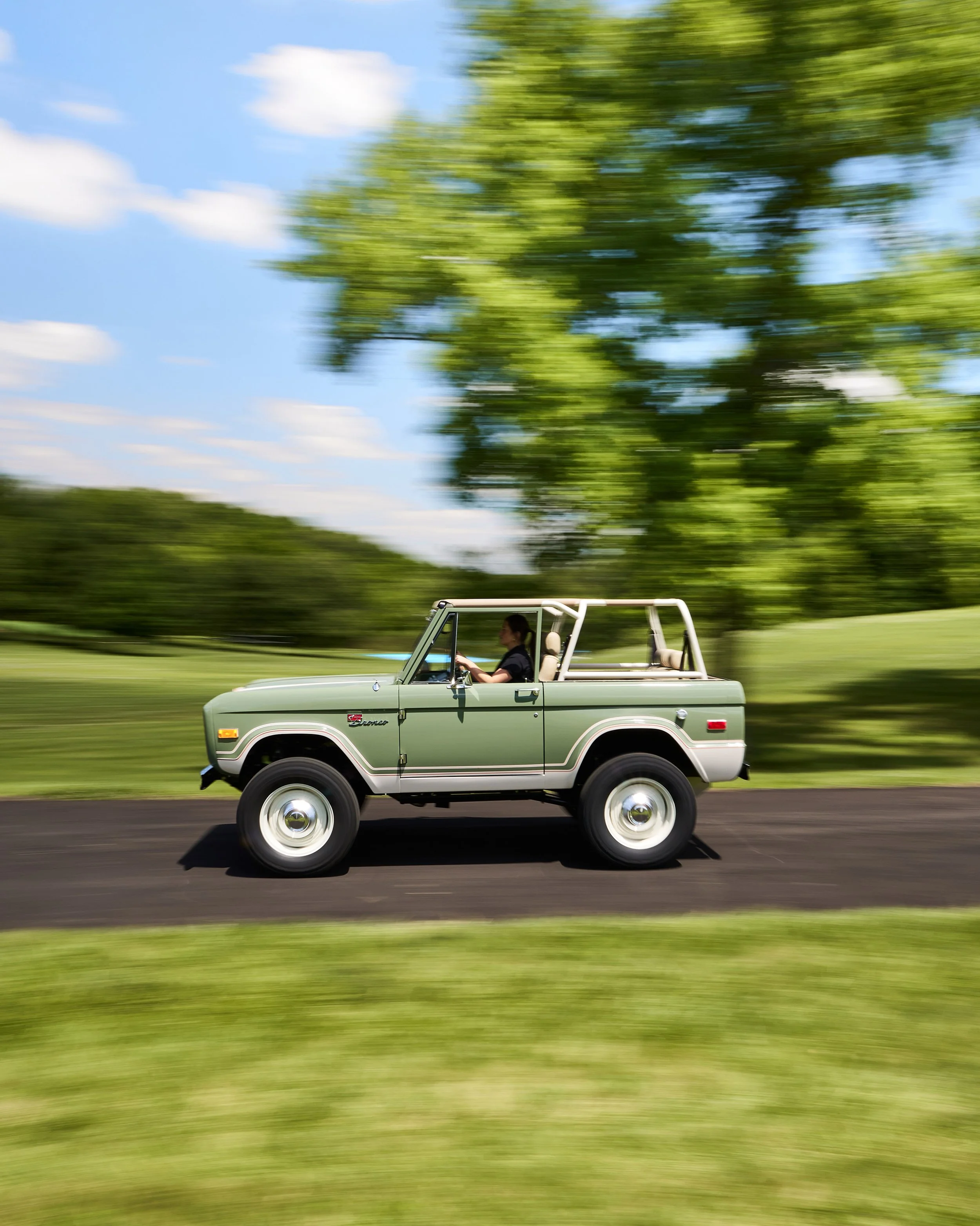 BoxwoodGreen_RS_Coyote 33.jpg