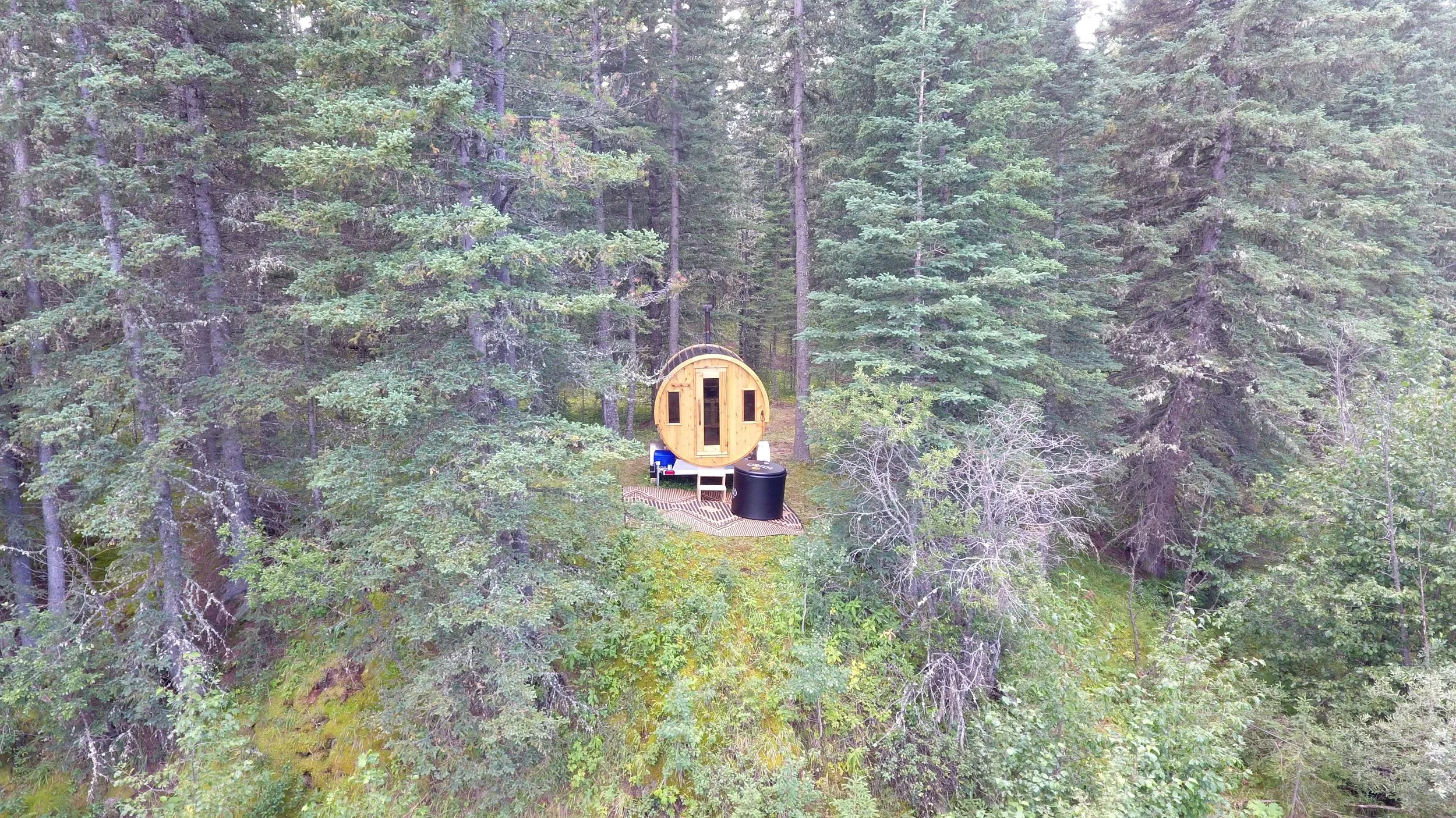 A wooden barrel sauna is situated among tall pine trees in a forest, with a small outdoor area that includes a patterned rug, a black cold plunge tub, and some items nearby.
