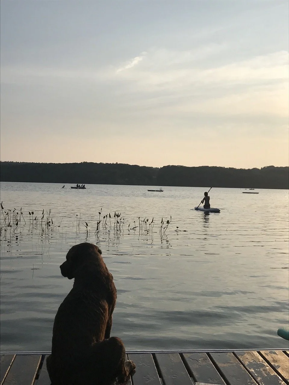 tb paddleboard Large 2.jpeg