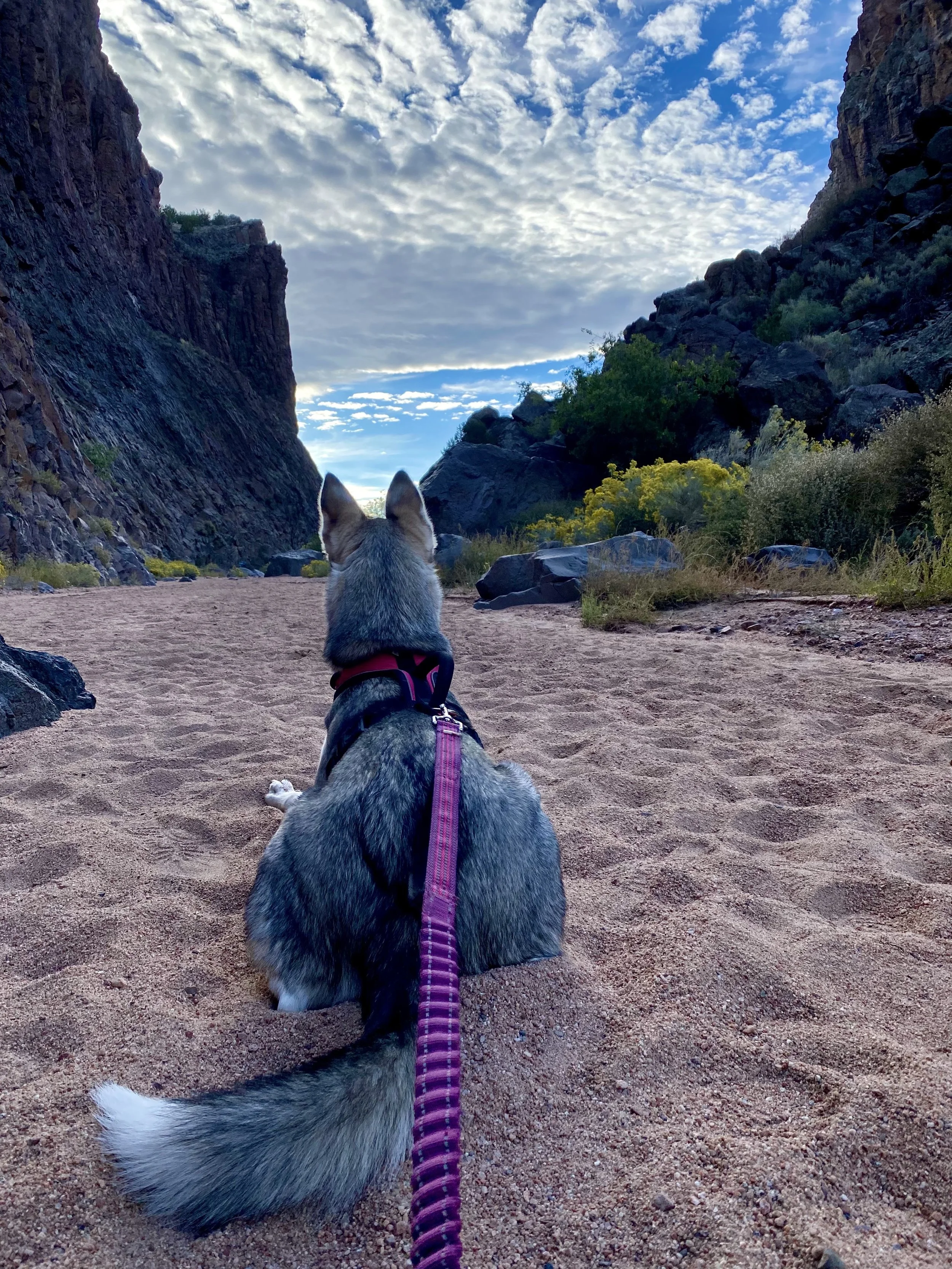 Freya.View.2.jpg