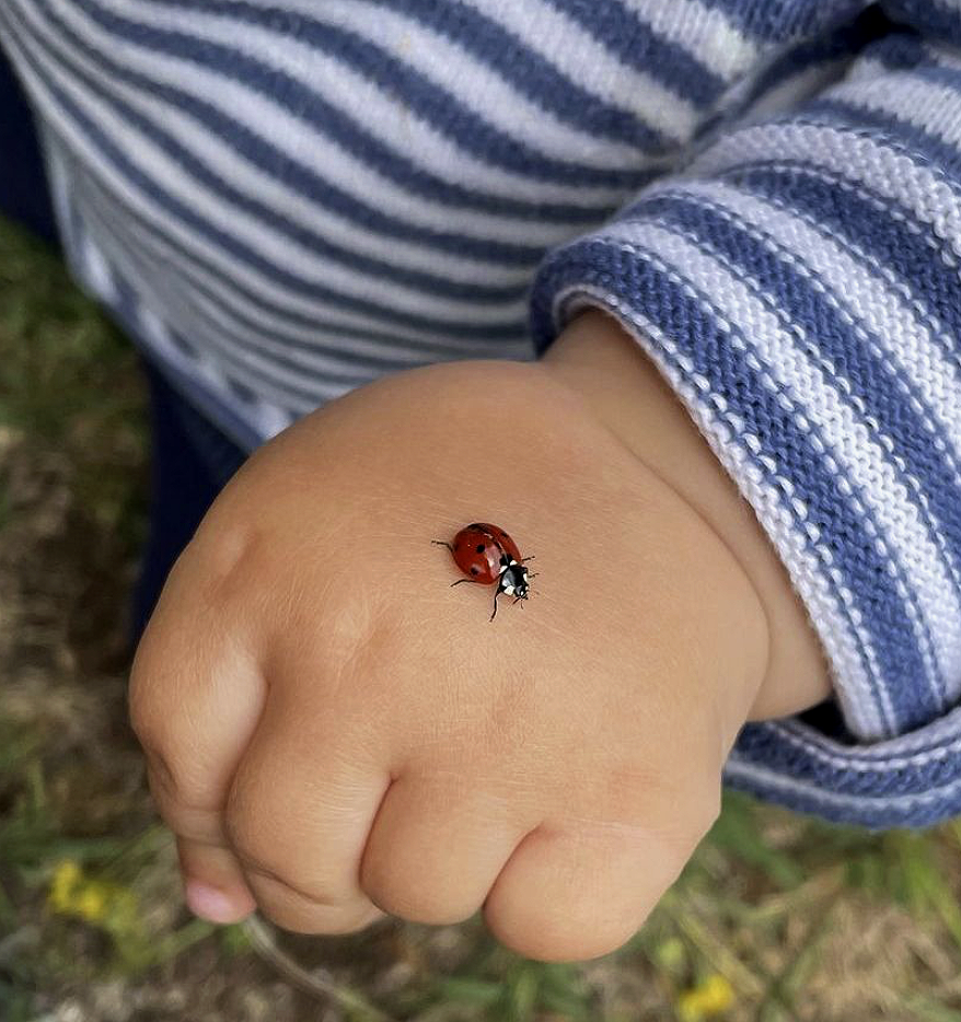 Dr Jo Black, Antenatal retreats, little baby holding a lady bug, in Devon nature