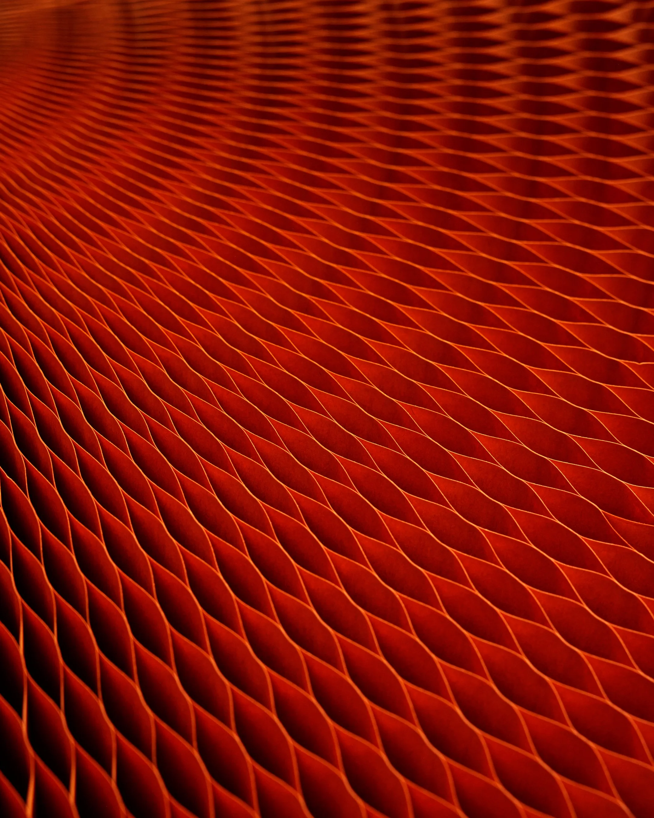 B03A7622.jpg