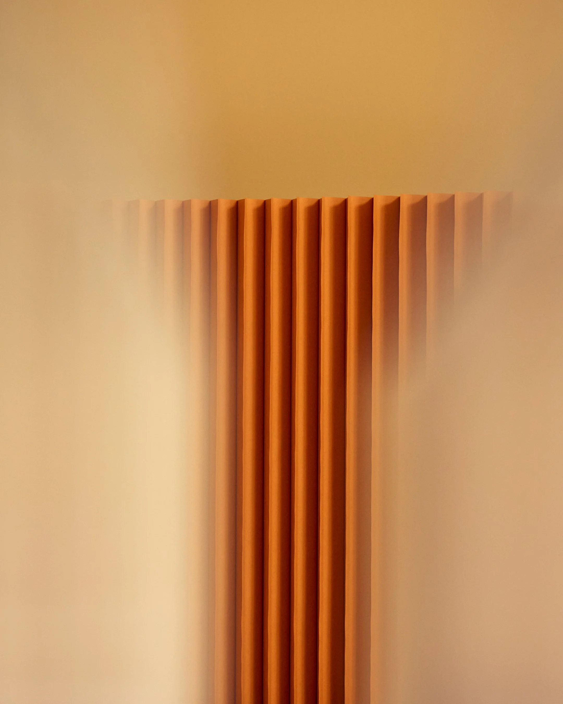 B03A7842.jpg