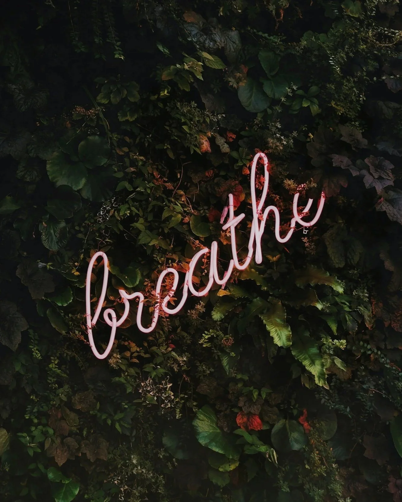 Neon sign that says 'Beauty' in cursive, illuminated in pink, mounted on a dark green leafy wall.