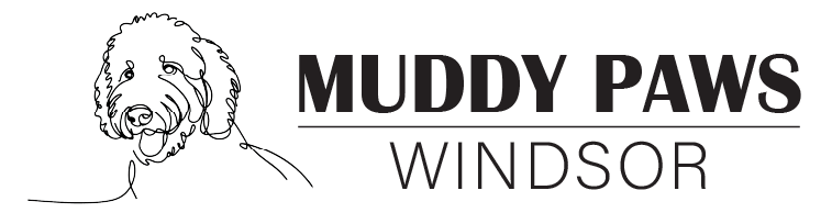 Muddy Paws Windsor
