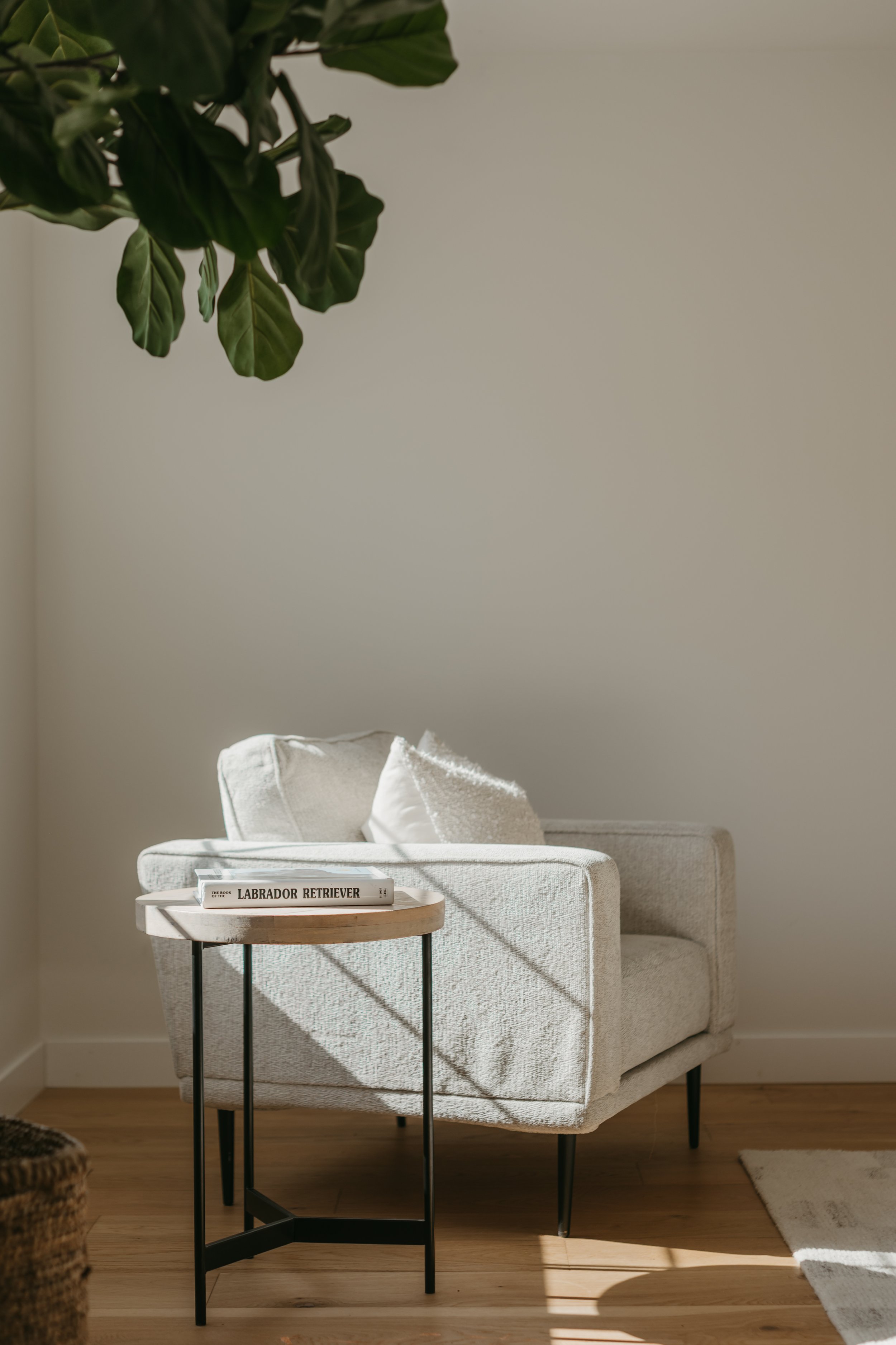 IdealStaging.6.26.jahnilynnphoto.com-26.jpg