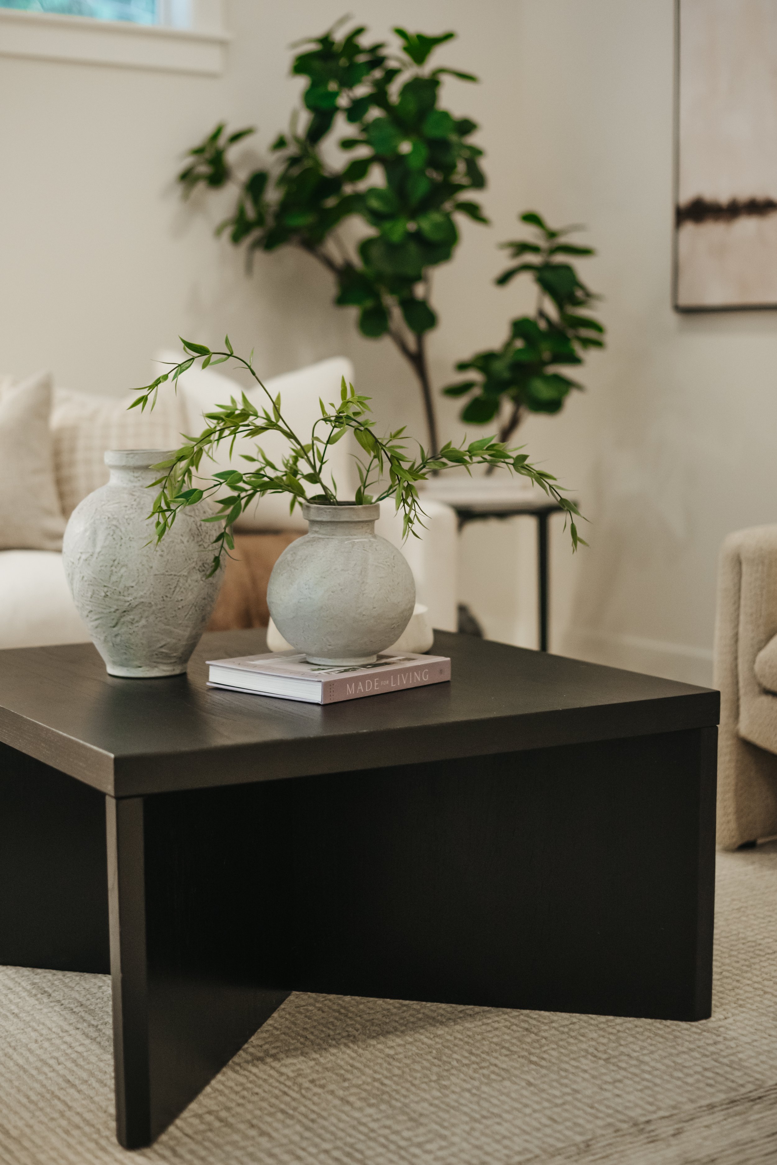 IdealStaging1.26.jahnilynnphoto.com-23.jpg