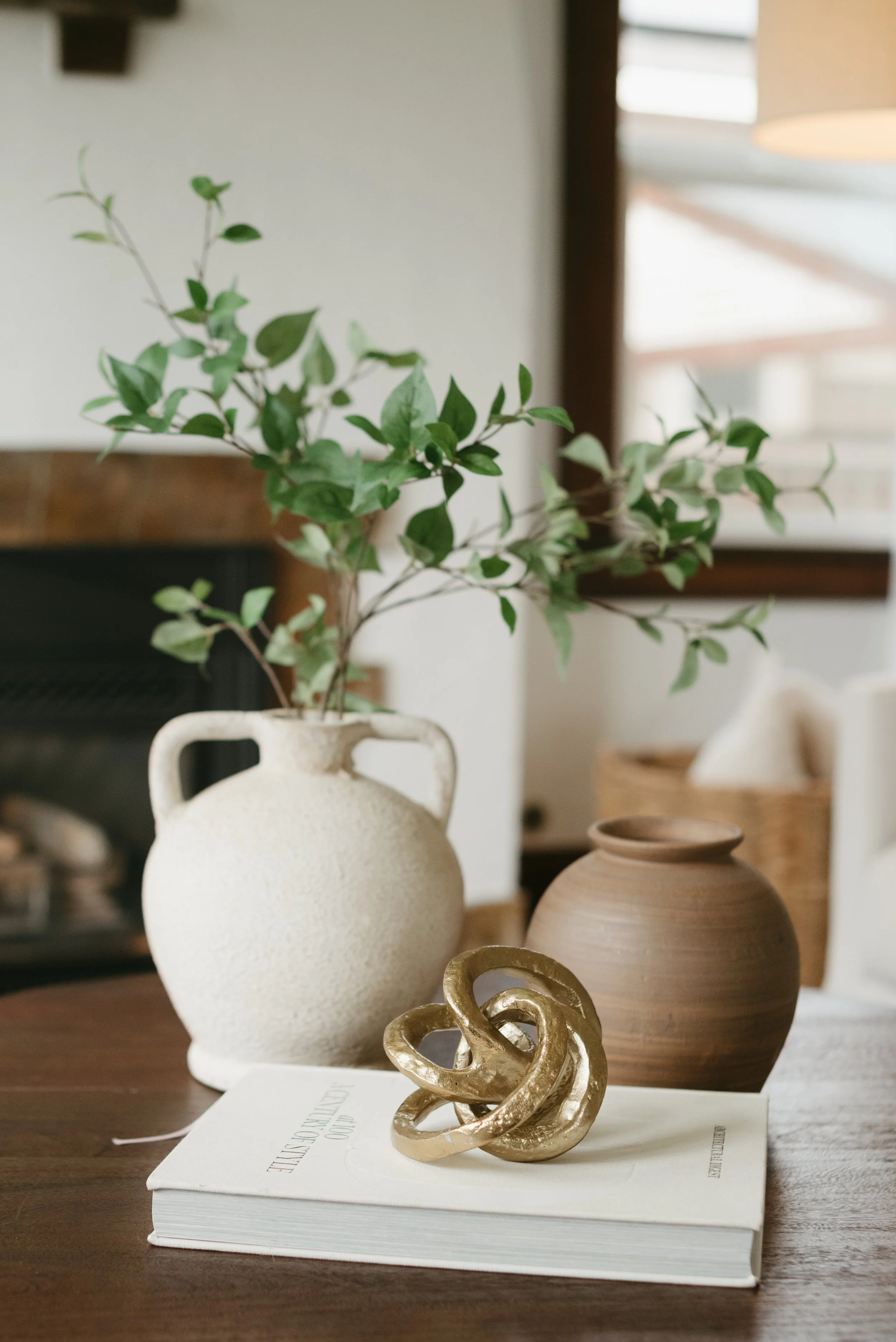 IdealStaging.2.26.jahnilynnphoto.com-43.jpg