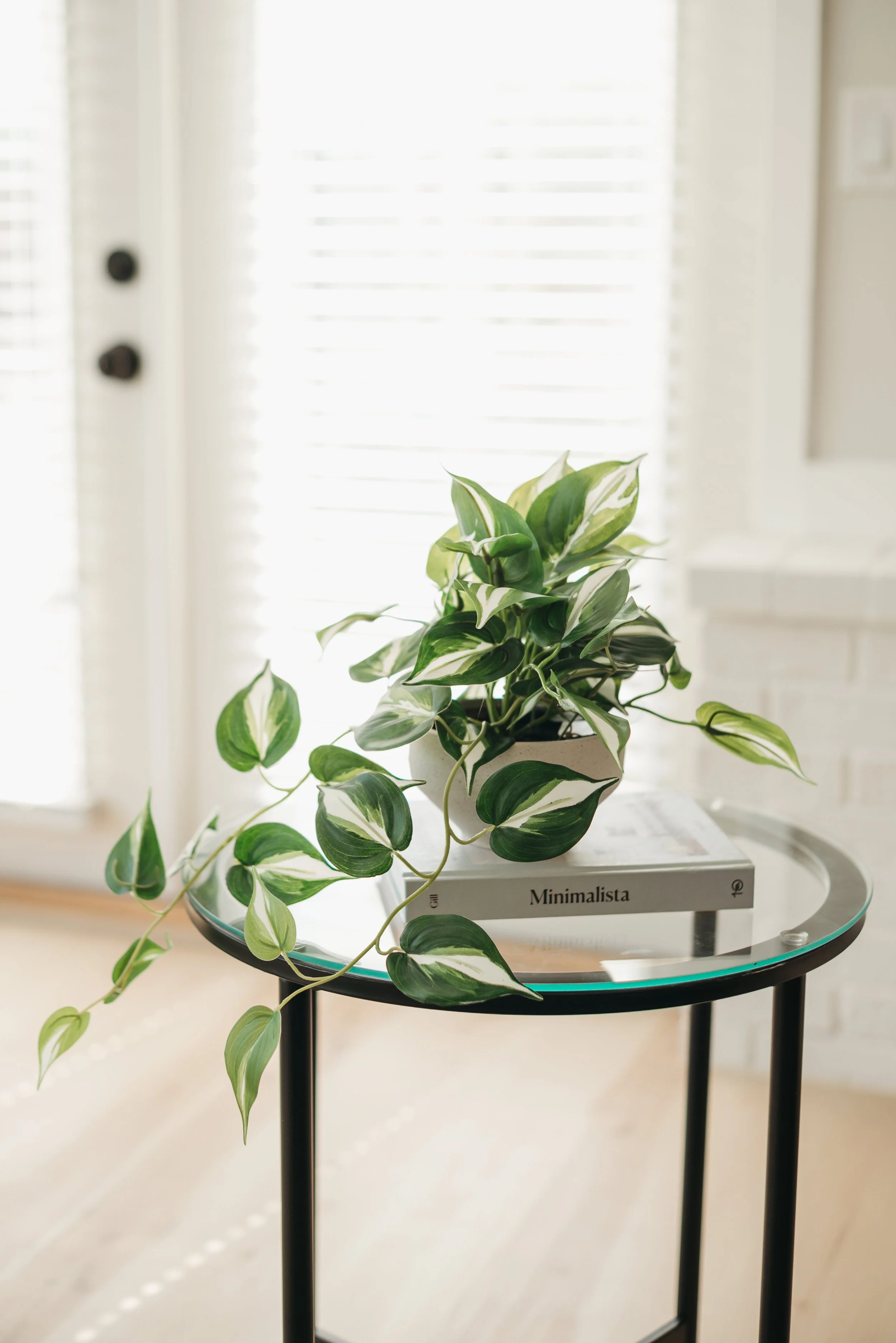 IdealStaging.4.26.jahnilynnphoto.com-19.jpg
