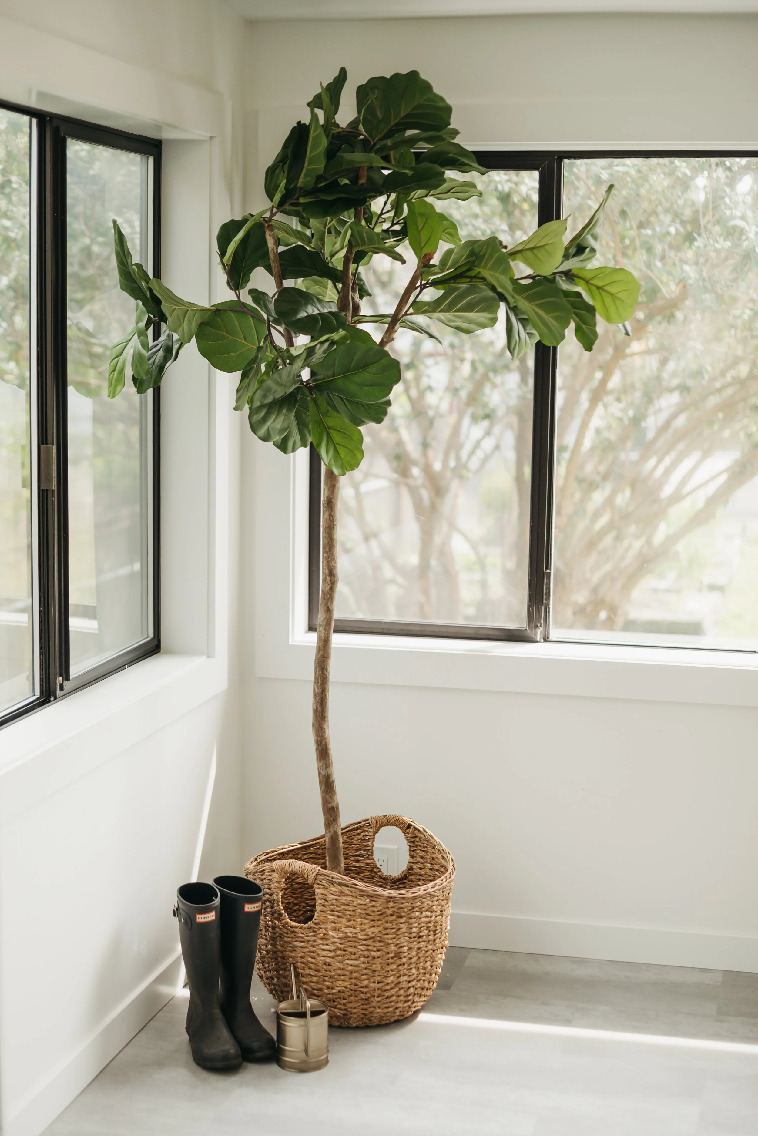 IdealStaging.4.26.jahnilynnphoto.com-34.jpg
