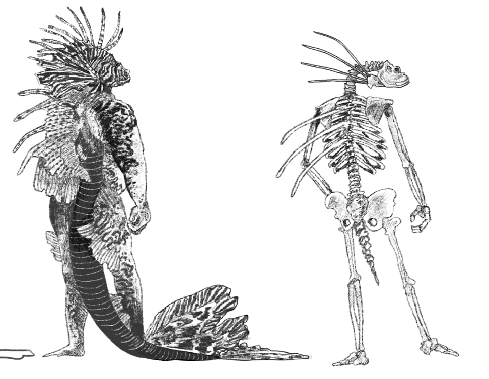 Picture4.png