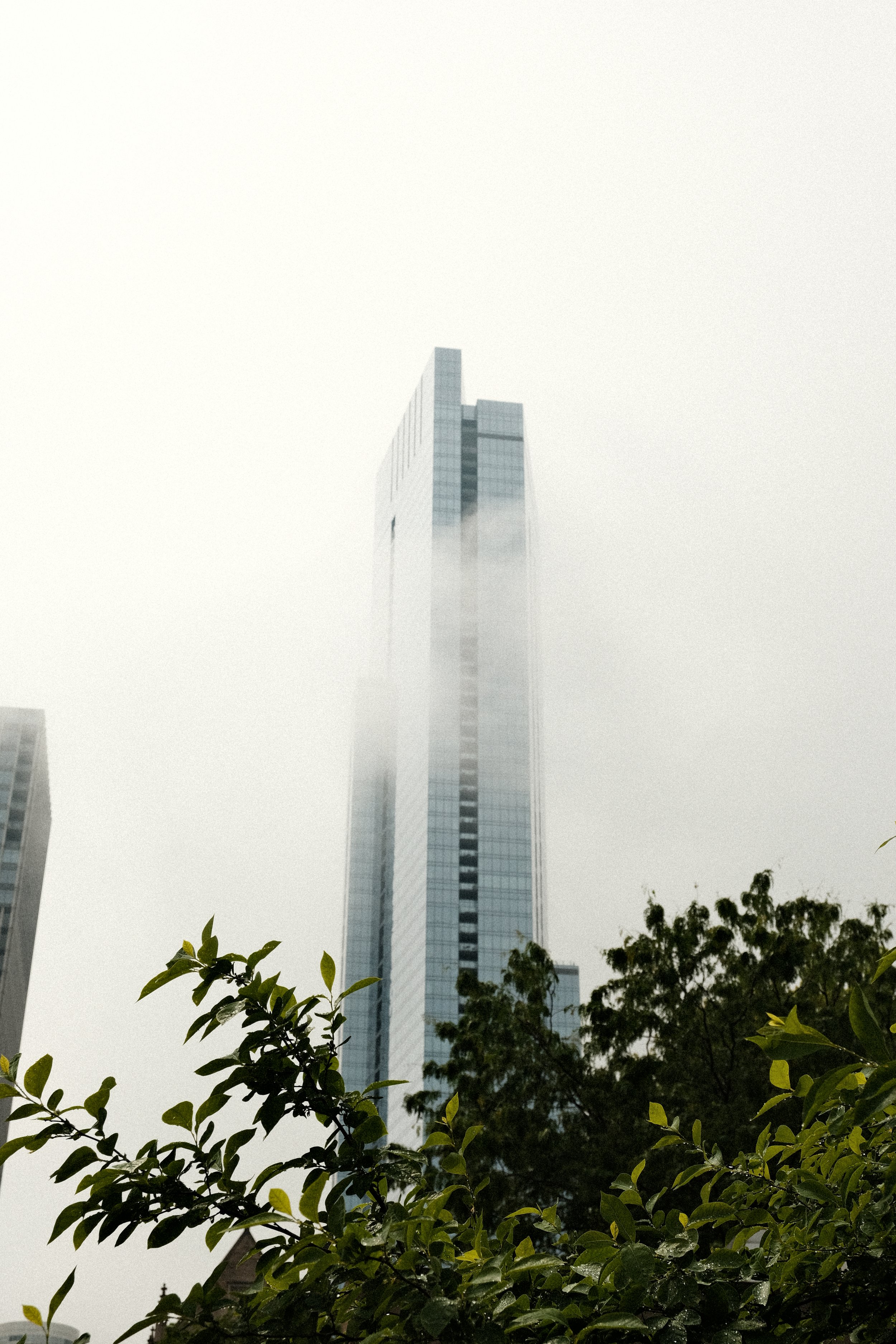 DSCF9003.JPG