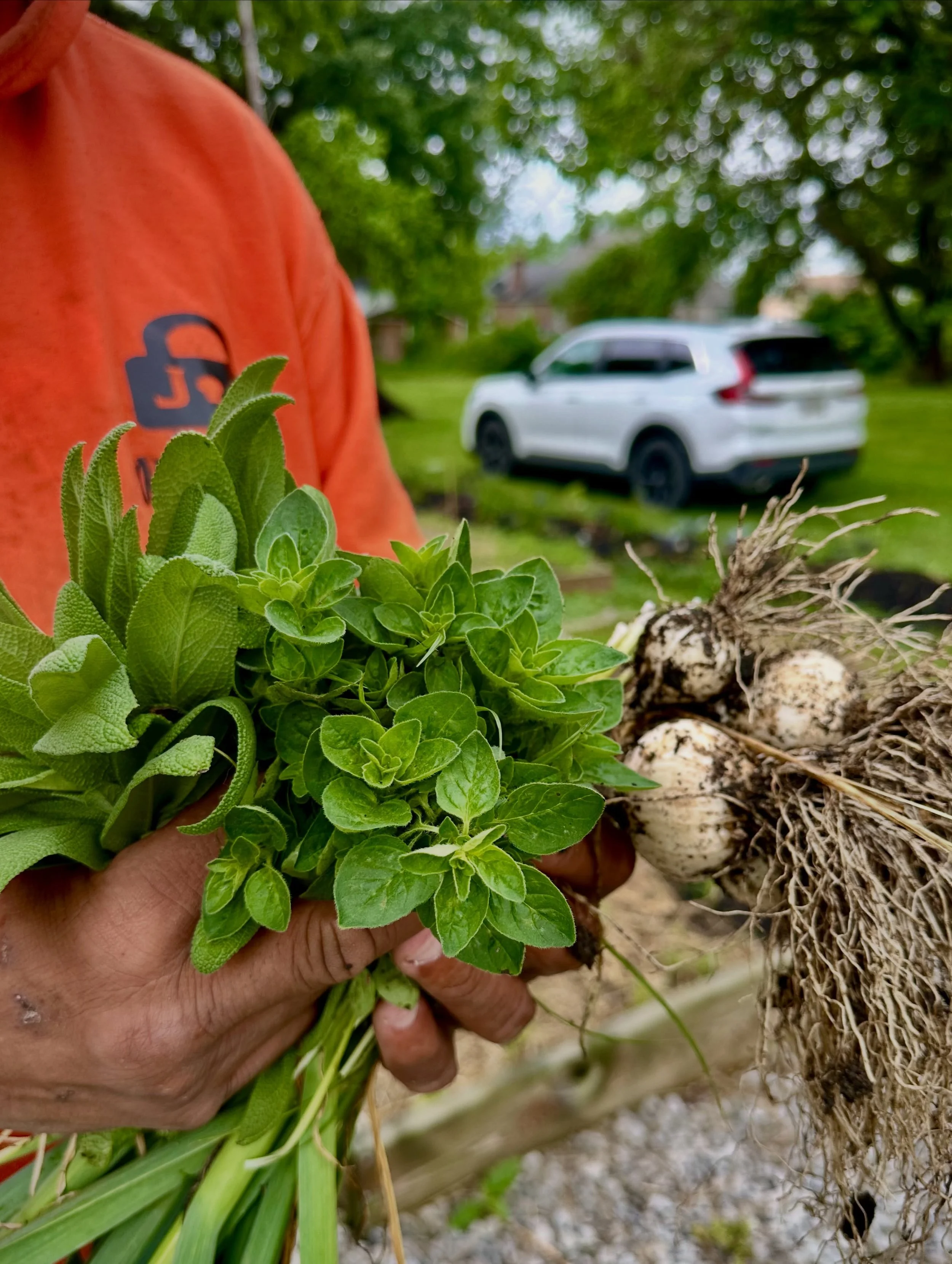 Backyard Gardener Membership
