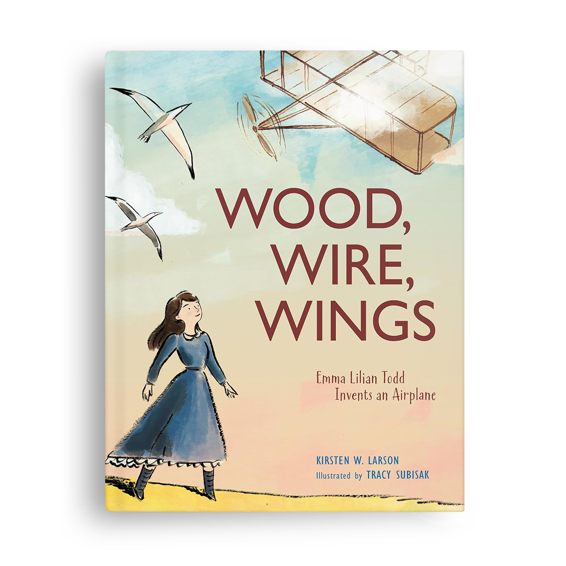 Book cover titled 'Wood, Wire, Wings' by Kirsten W. Larson, illustrated by Tracy Subisak, featuring a girl in a blue dress looking at an airplane and flying seagulls in the sky.