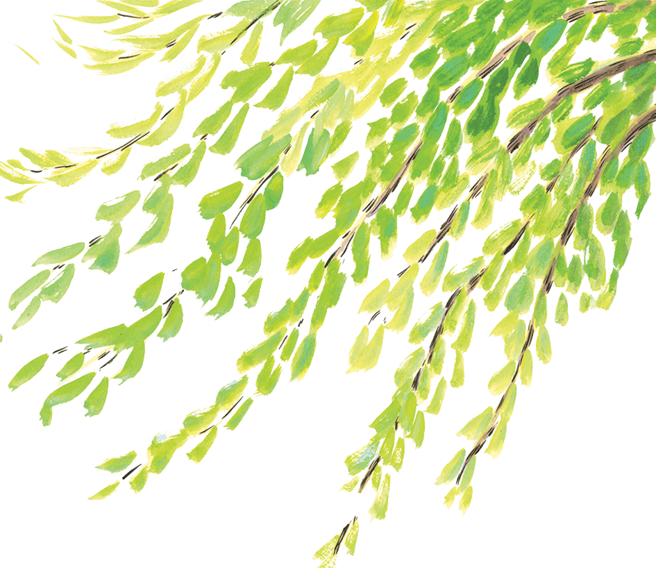 Watercolor illustration of green leafy plant with cascading branches