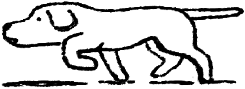 A black and white drawing of a dog with a long body, four legs, and a small head.