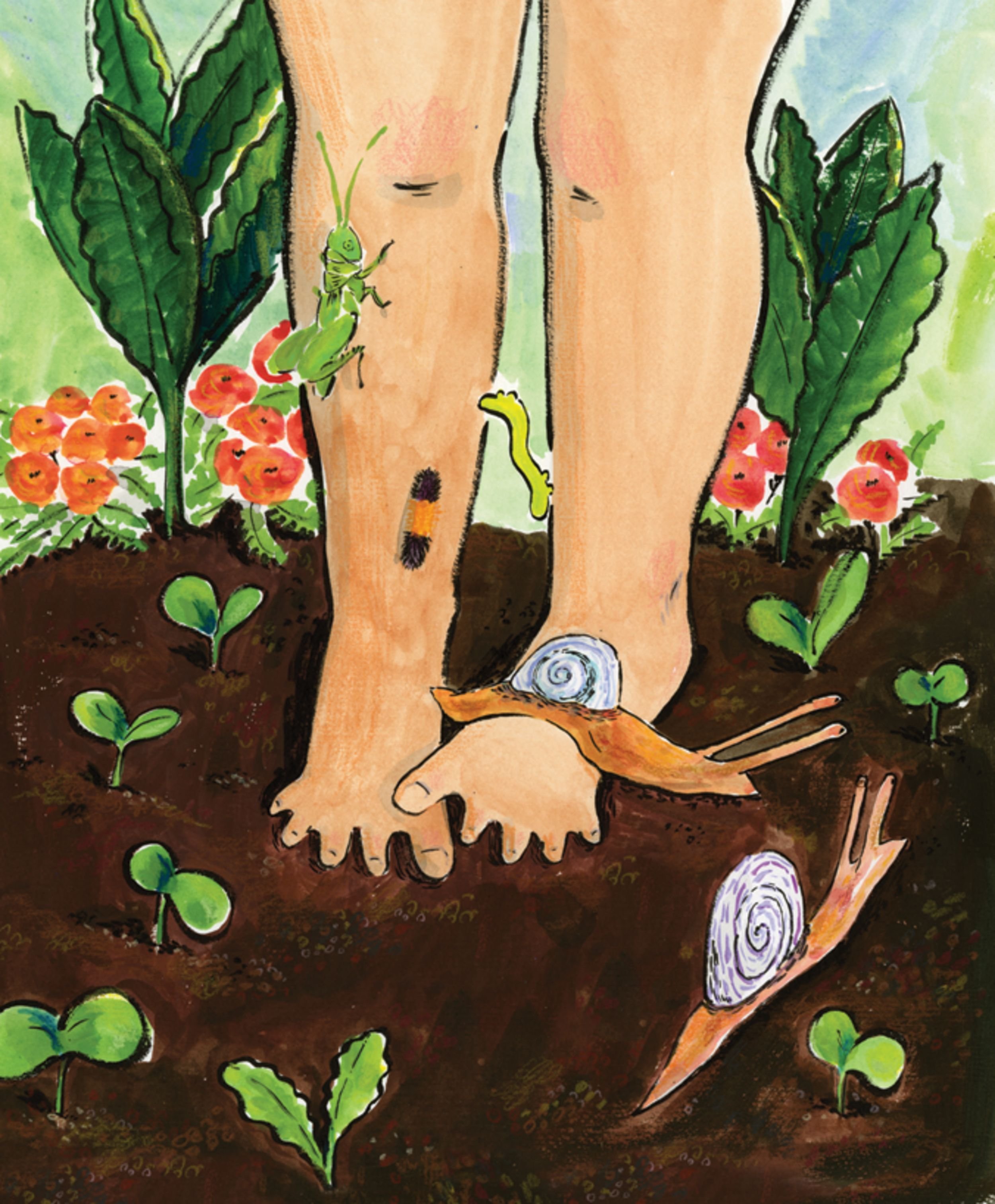 tracy-subisak-book-illustration-12.jpeg