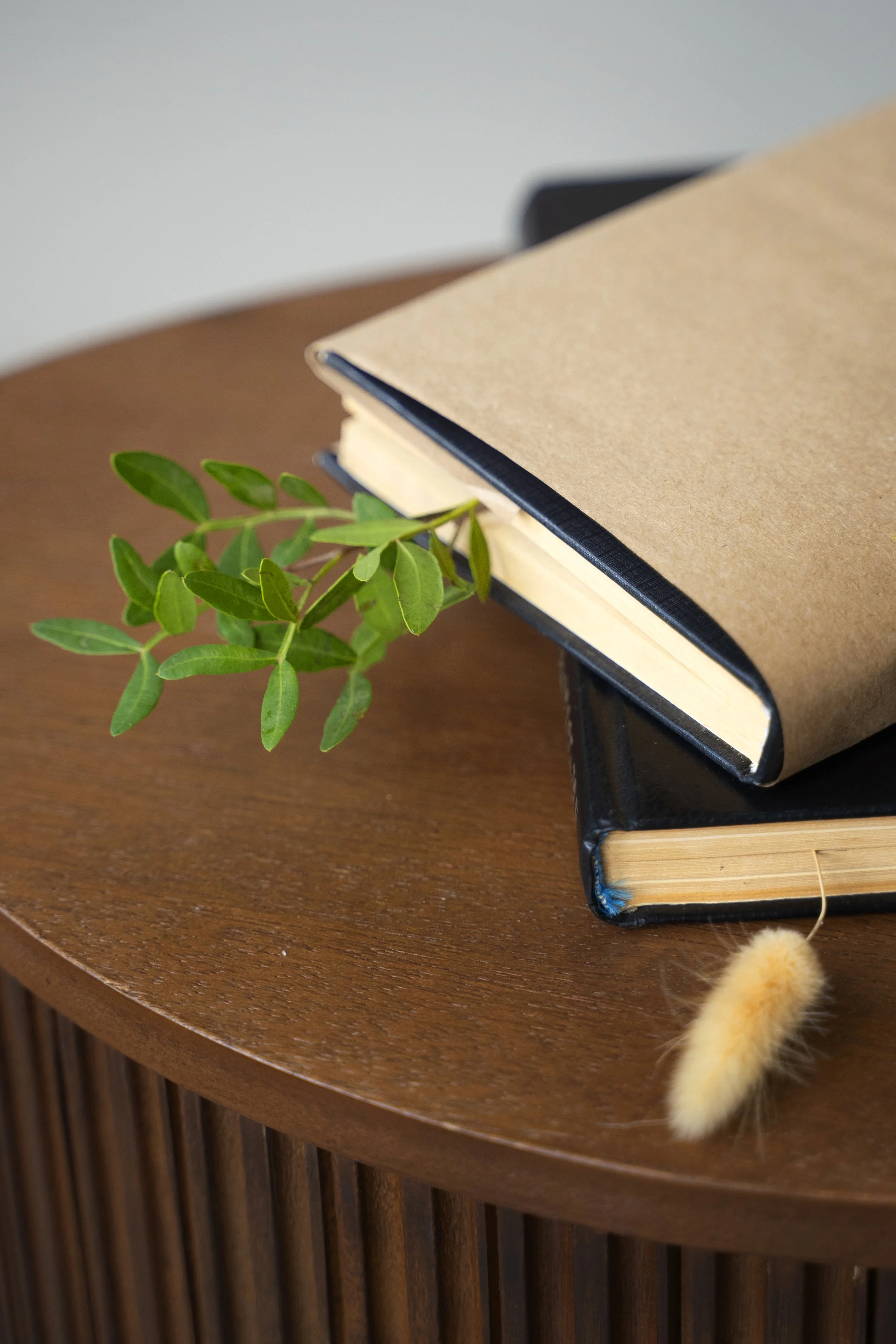 Une plante verte à feuilles larges et deux livres empilés sur une table en bois. L'un des livres a une couverture en papier kraft et l'autre une reliure noire.