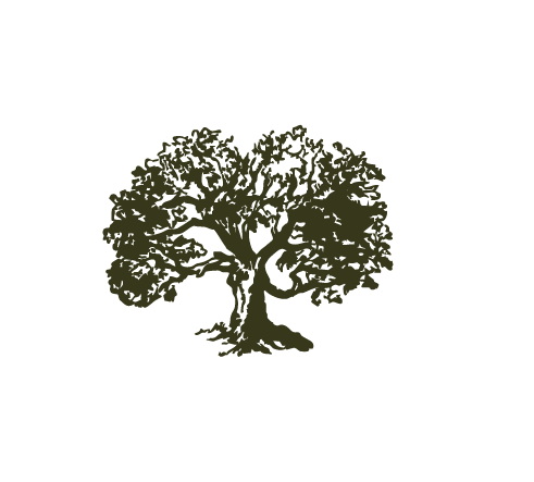 Tree logo icon of East and Elm Portrait Studio in Fairport, NY.