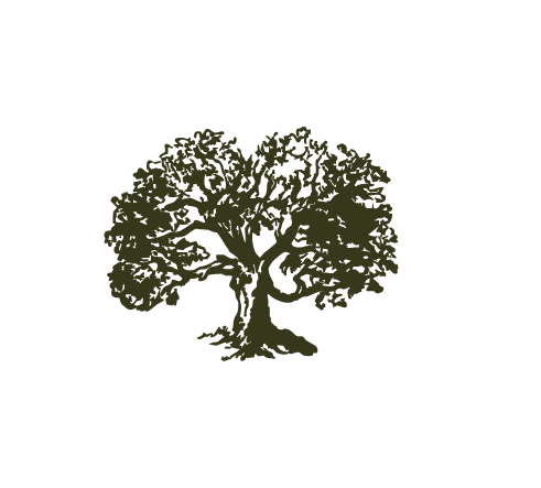 Tree logo icon of East and Elm Portrait Studio in Fairport, NY.