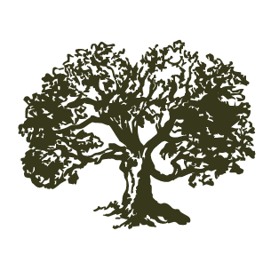 East and Elm Studio icon logo silhouette of a large tree with many branches and leaves