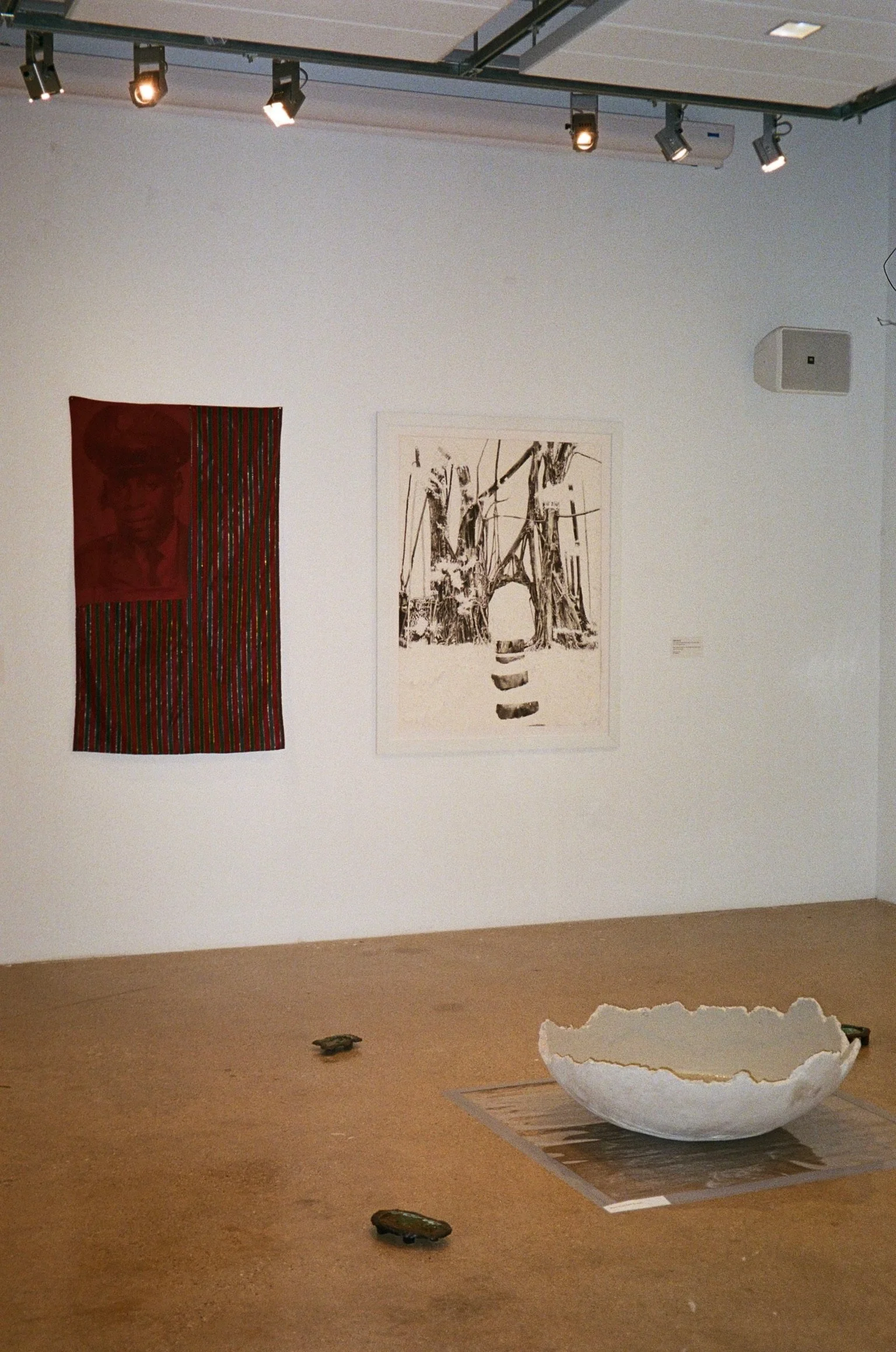 IMG_5287.JPG