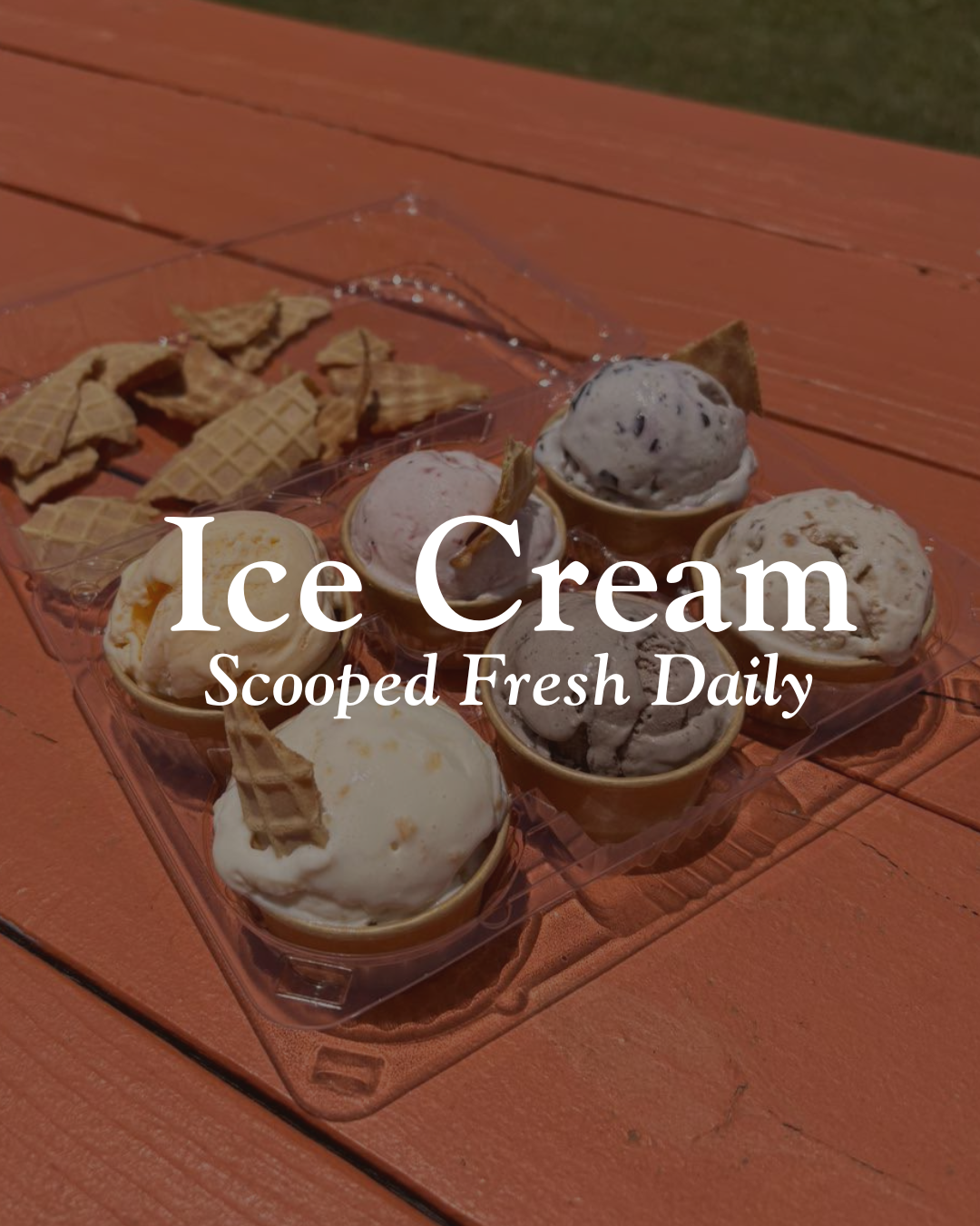 Homemade ice cream at Mitchell’s Family Farm in Boston, Georgia, near Thomasville.