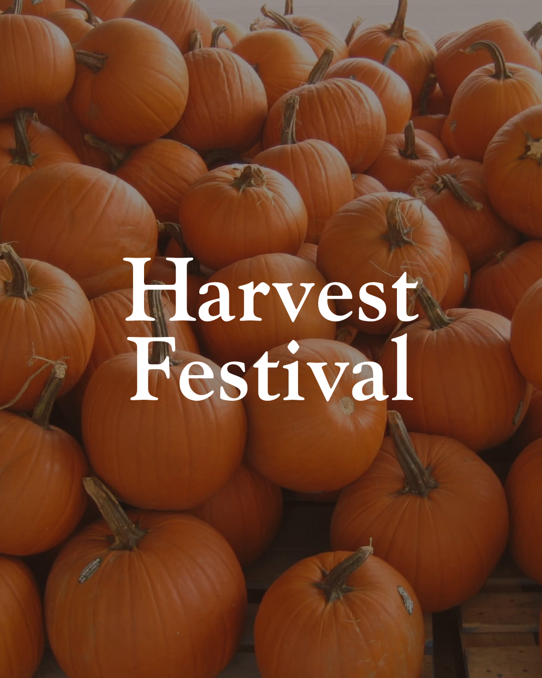 Pumpkins at the November Harvest Festival at Mitchell’s Family Farm in Boston, Georgia, near Thomasville.