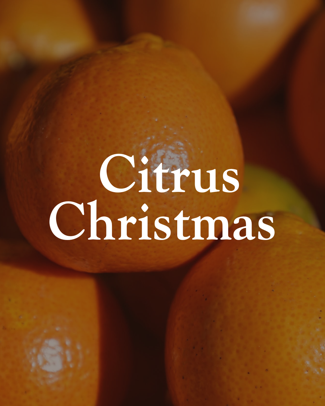 Fresh satsumas for the December Citrus Christmas festival at Mitchell’s Family Farm in Boston, Georgia.